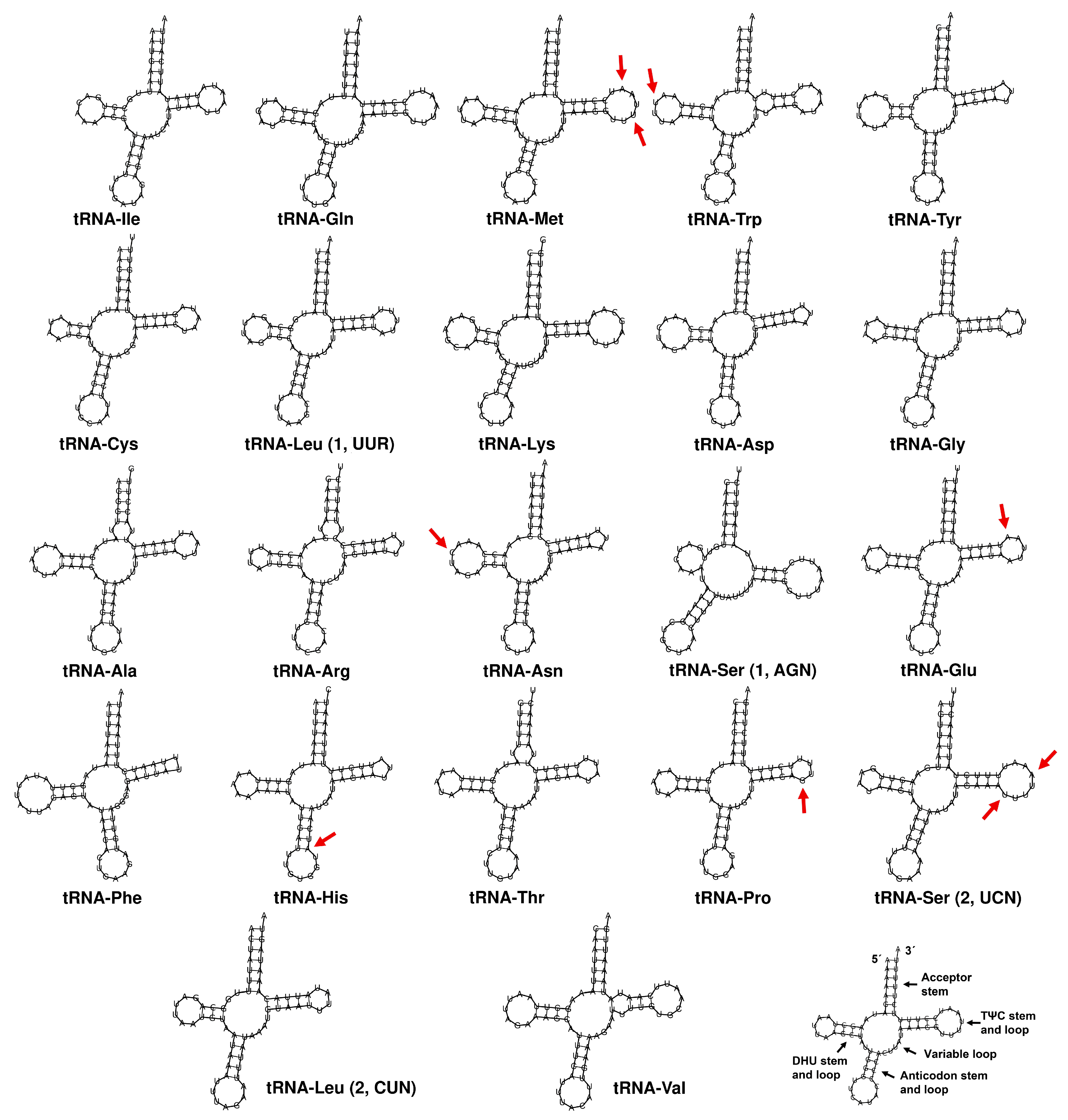 Insects 16 00604 g005