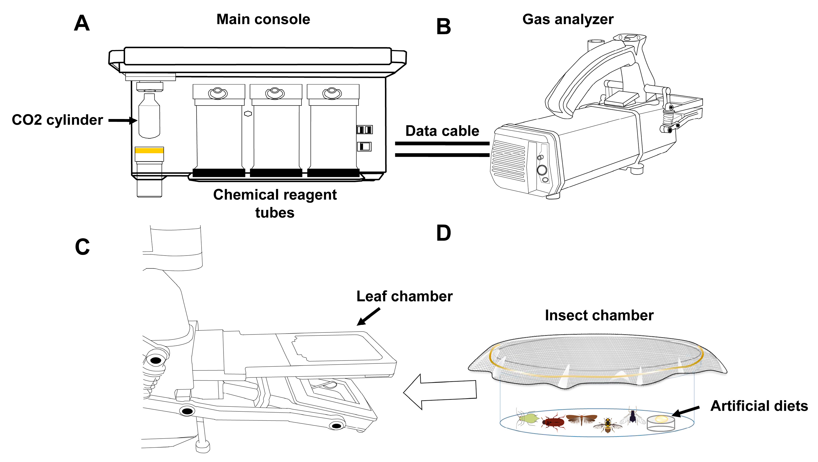 Insects 16 00616 g001
