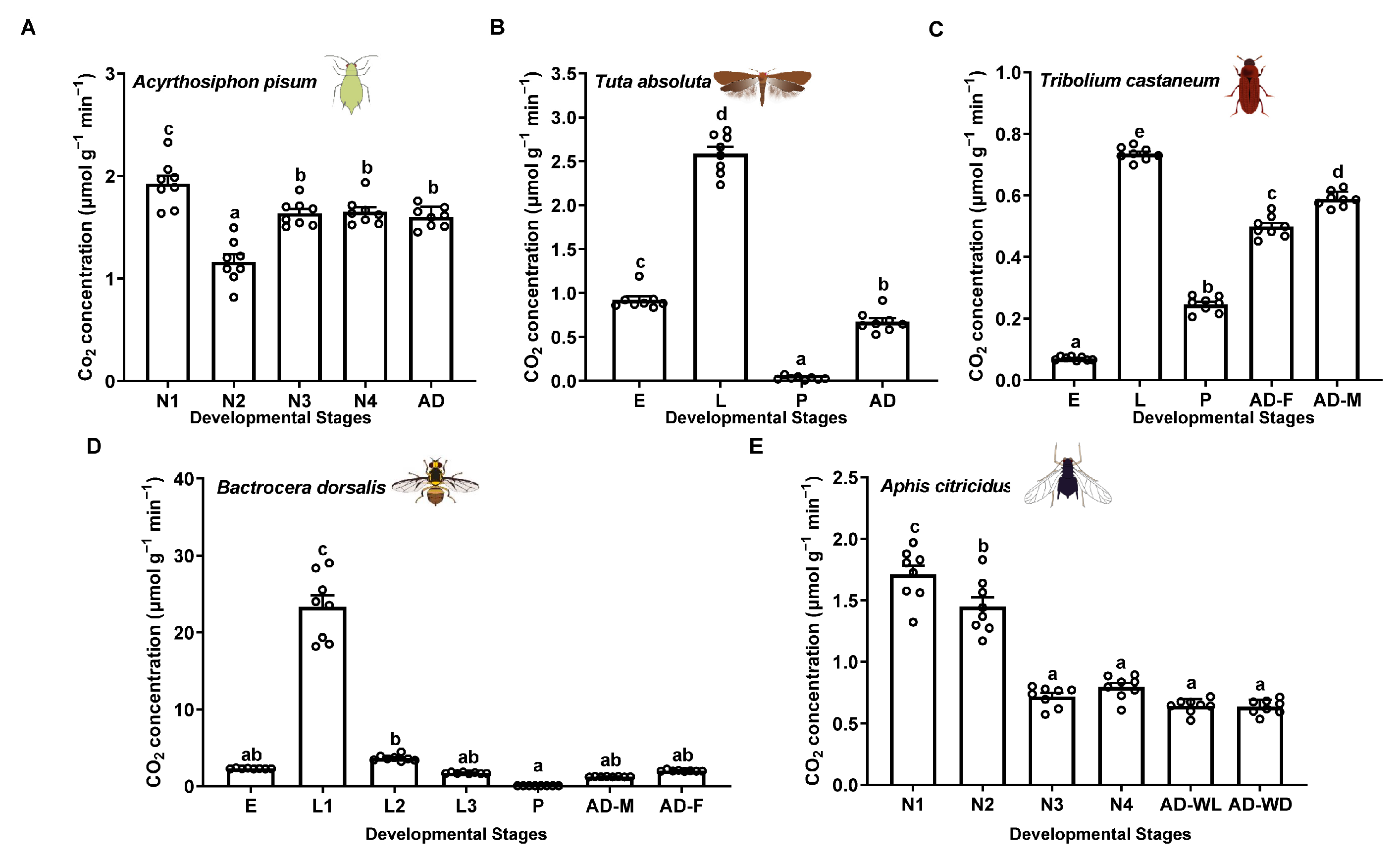 Insects 16 00616 g002