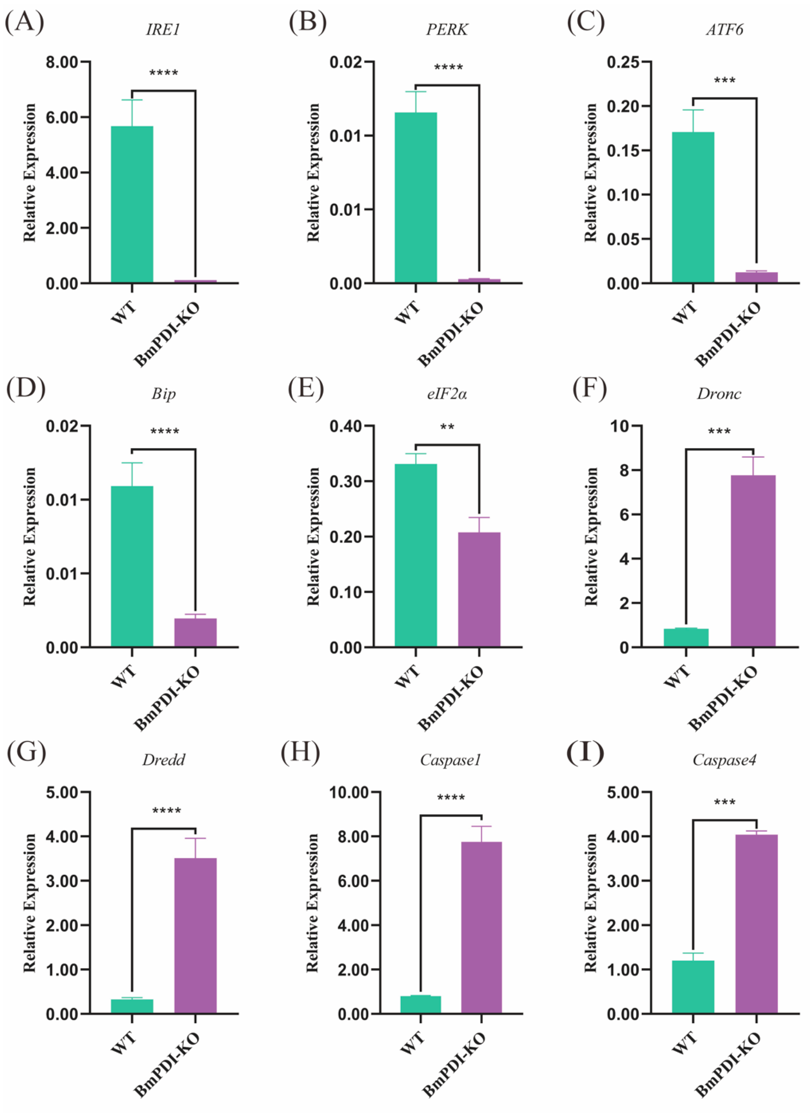 Insects 16 00684 g007