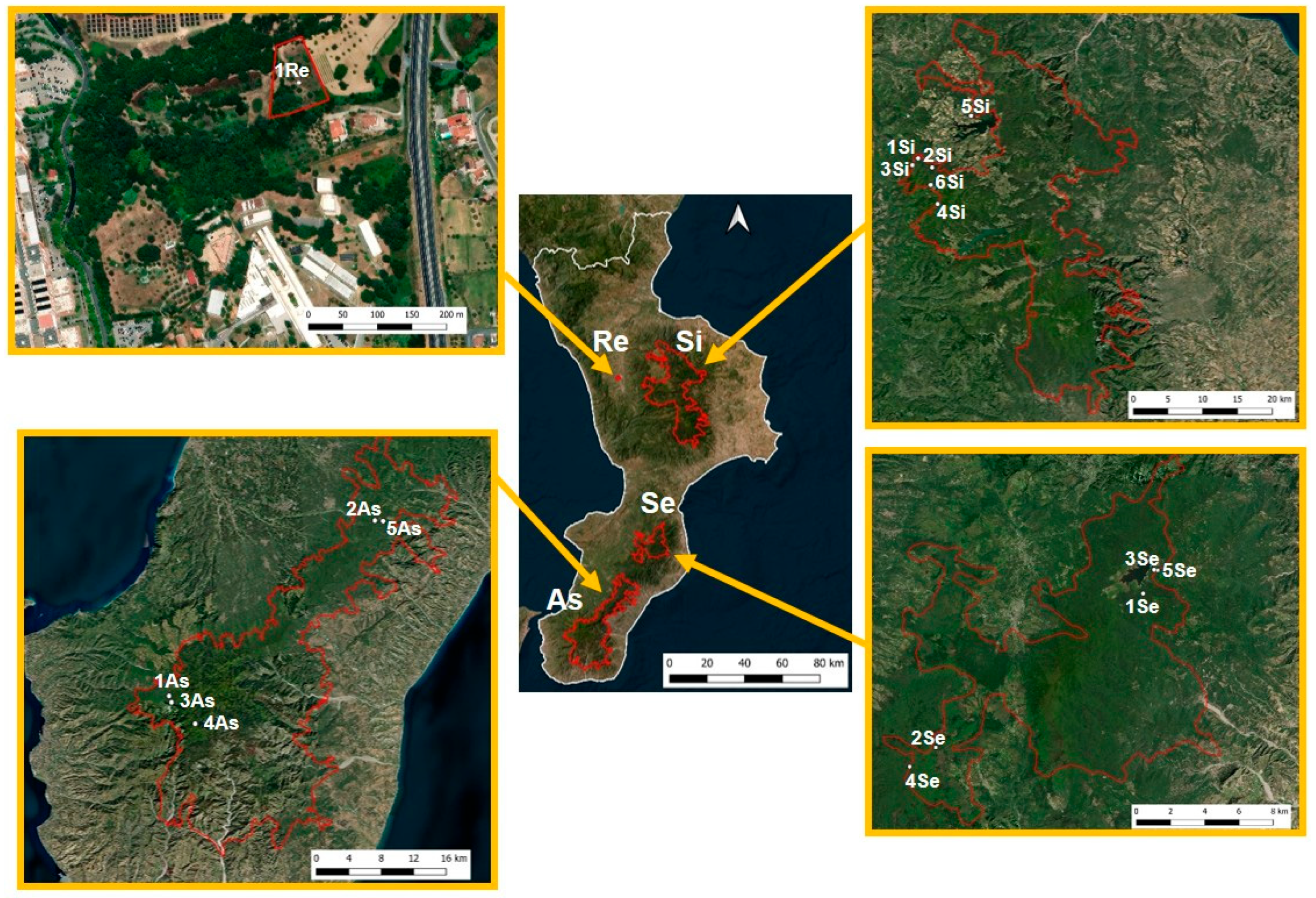 Insects 16 00886 g001 Insects 16 00886 g001