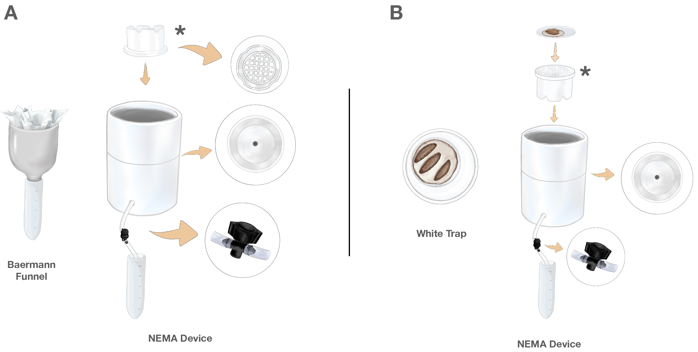 Insects 16 00991 g001 Insects 16 00991 g001