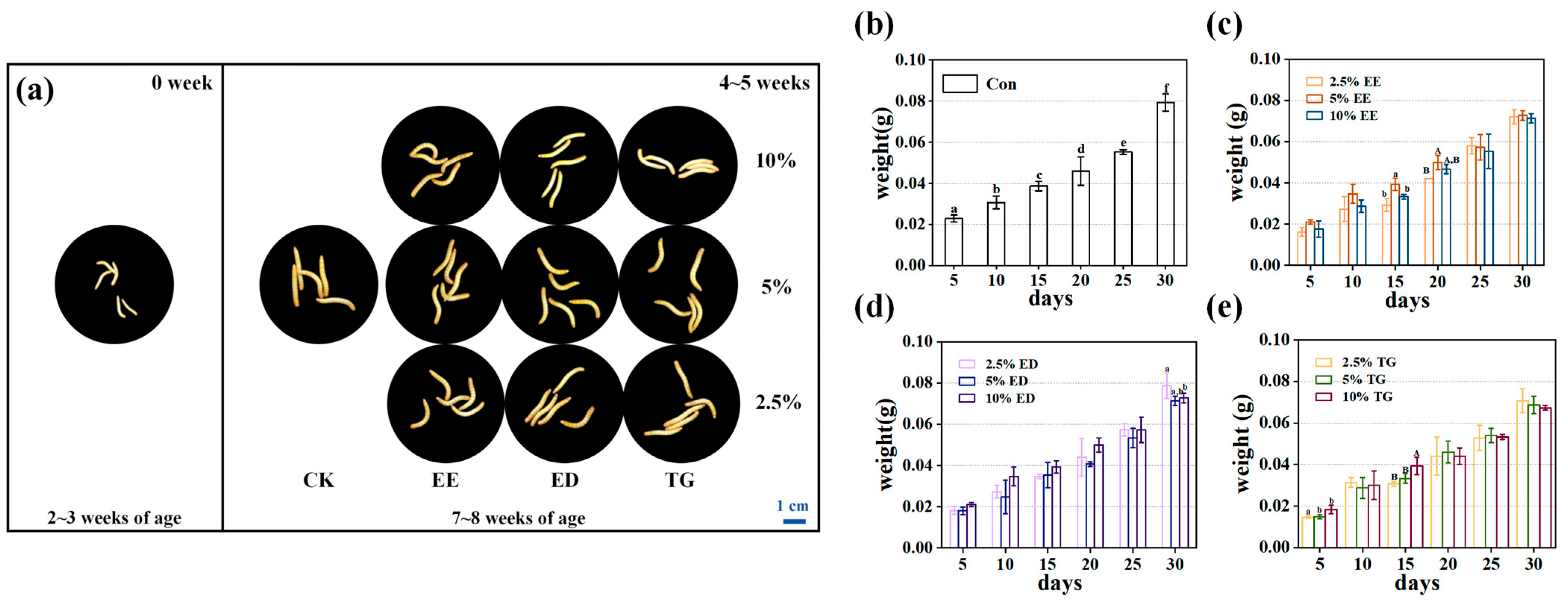 Insects 16 01007 g001 Insects 16 01007 g001