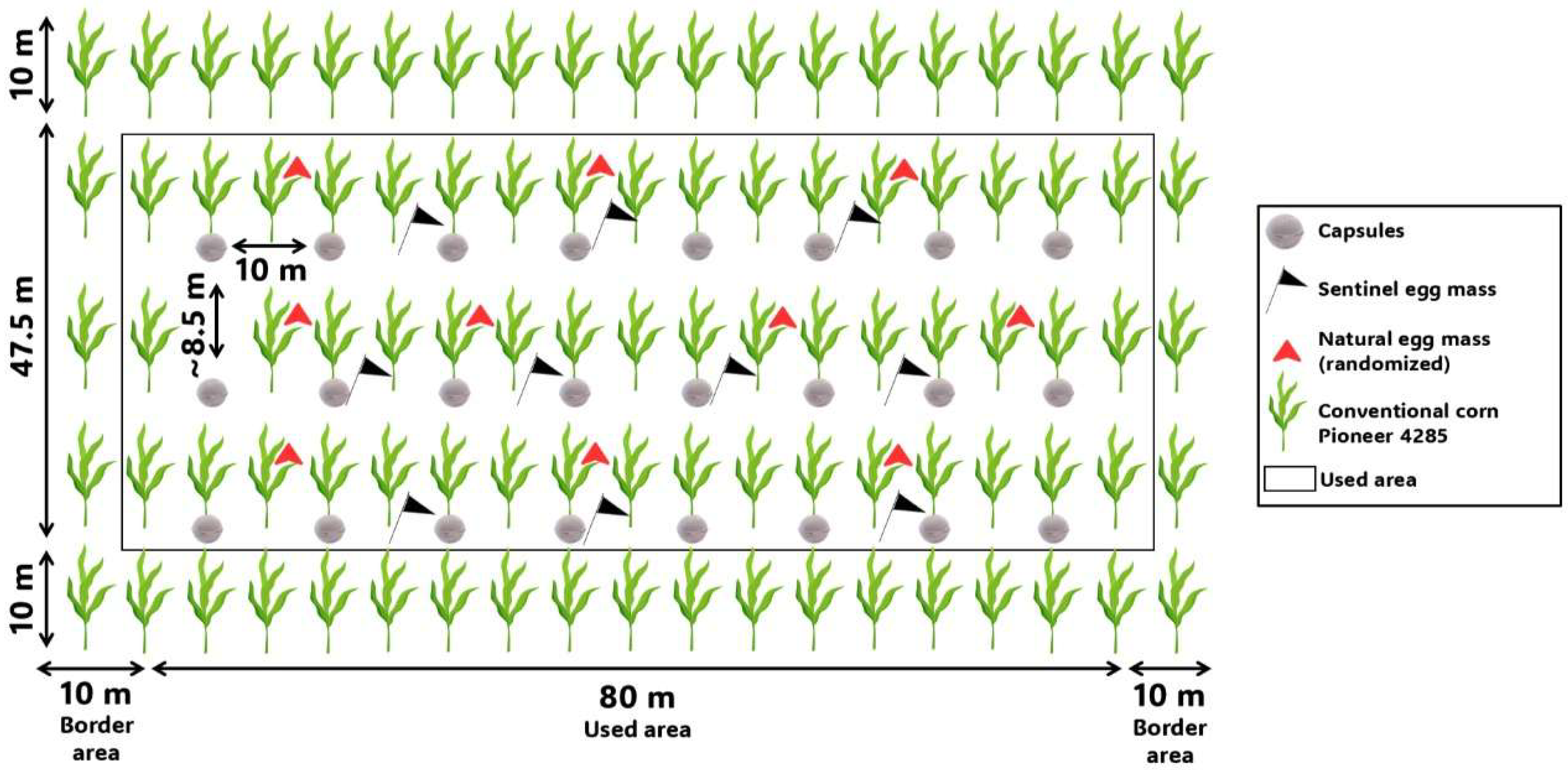 Insects 16 01032 g001 Insects 16 01032 g001