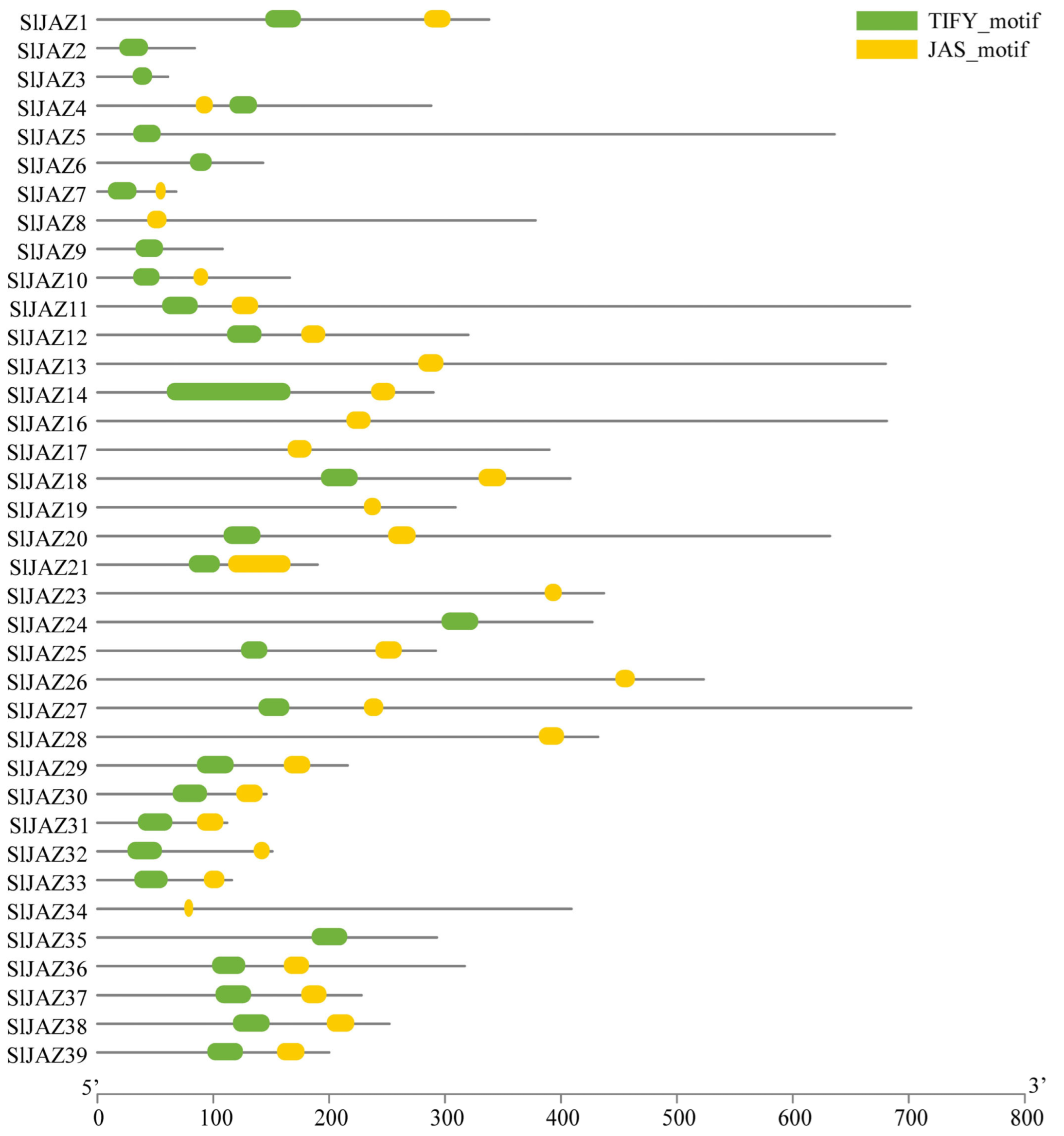 Insects 16 01046 g004 Insects 16 01046 g004