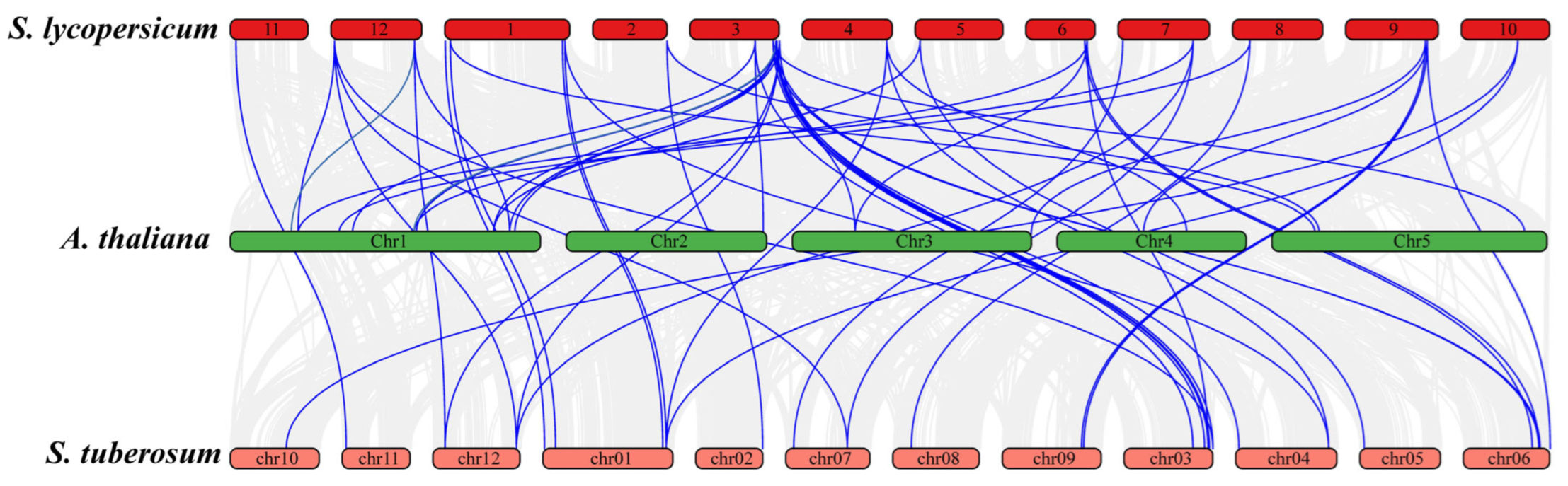Insects 16 01046 g007 Insects 16 01046 g007