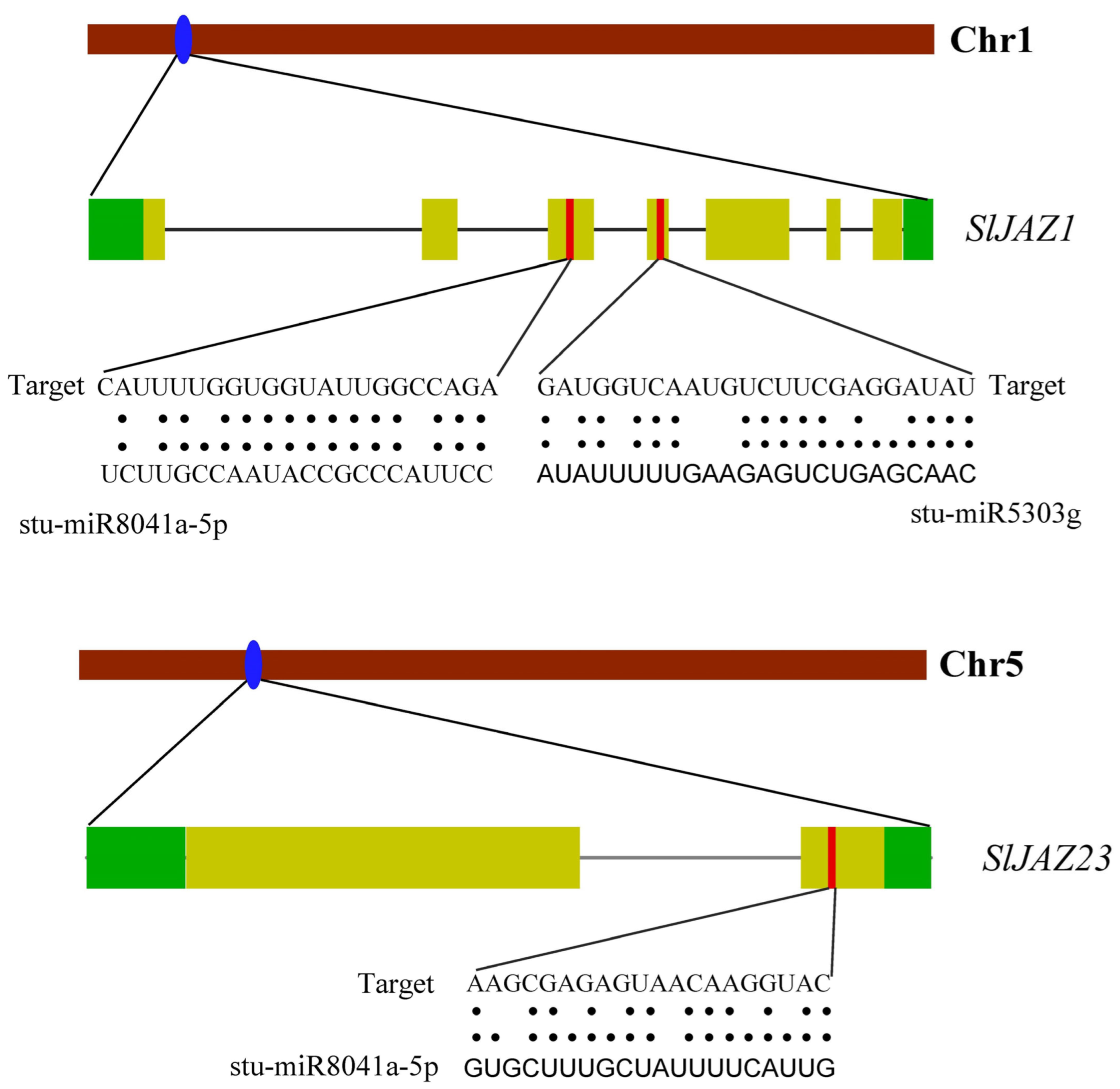 Insects 16 01046 g008 Insects 16 01046 g008