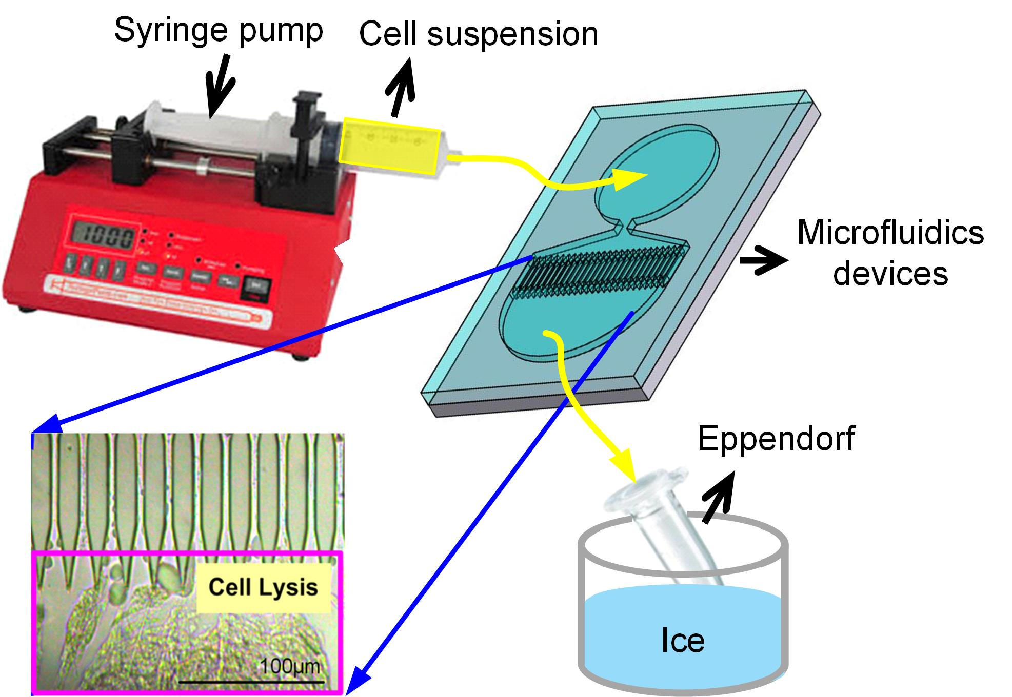 Image result for Microfluidics devices png