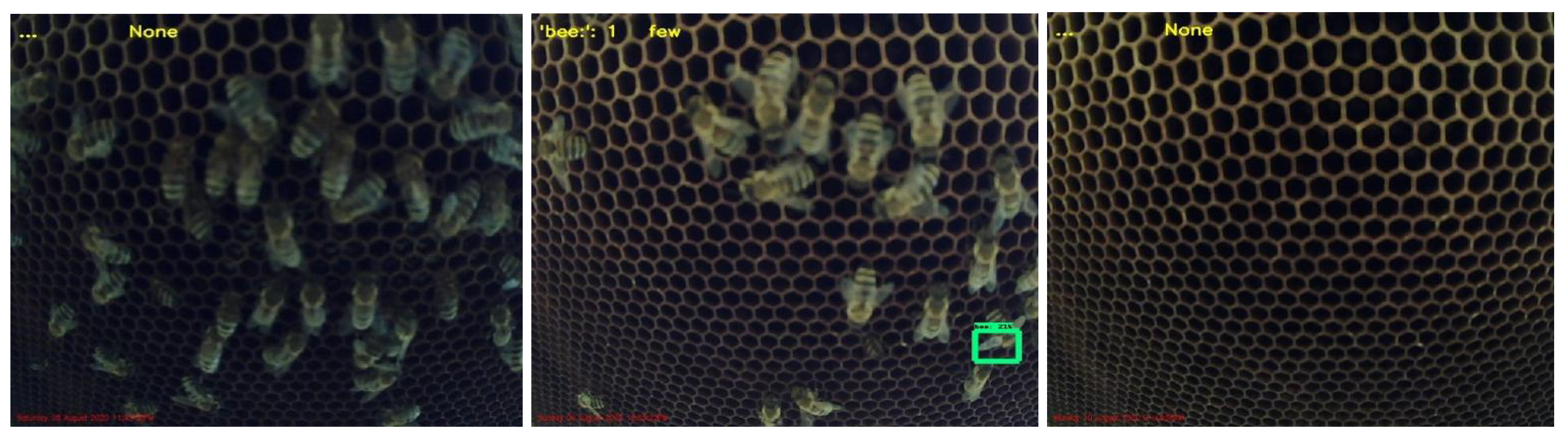New Bee Sniffing Technology Can Detect Many Dangerous Vapors At Once