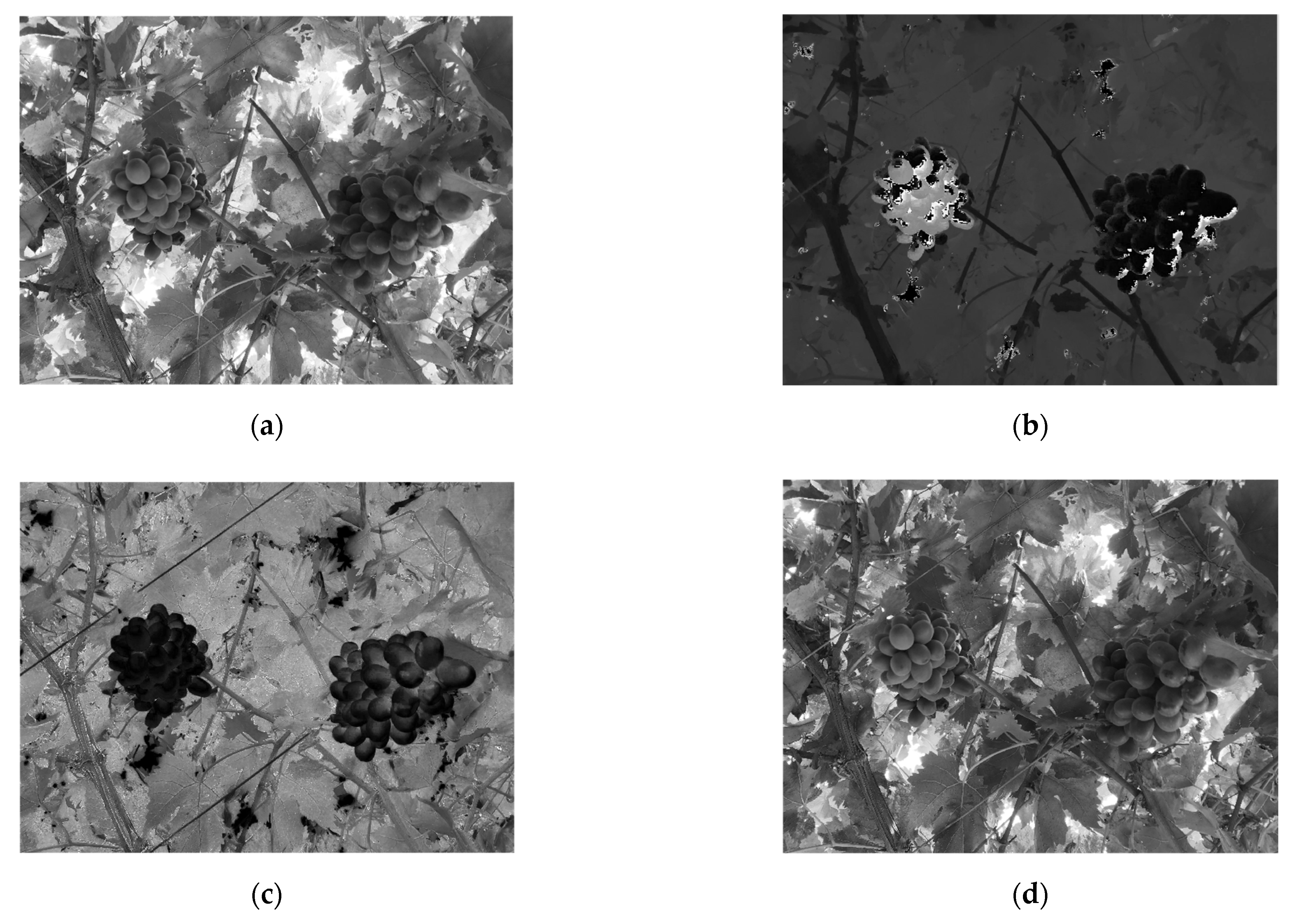 Inventions 07 00027 g003a