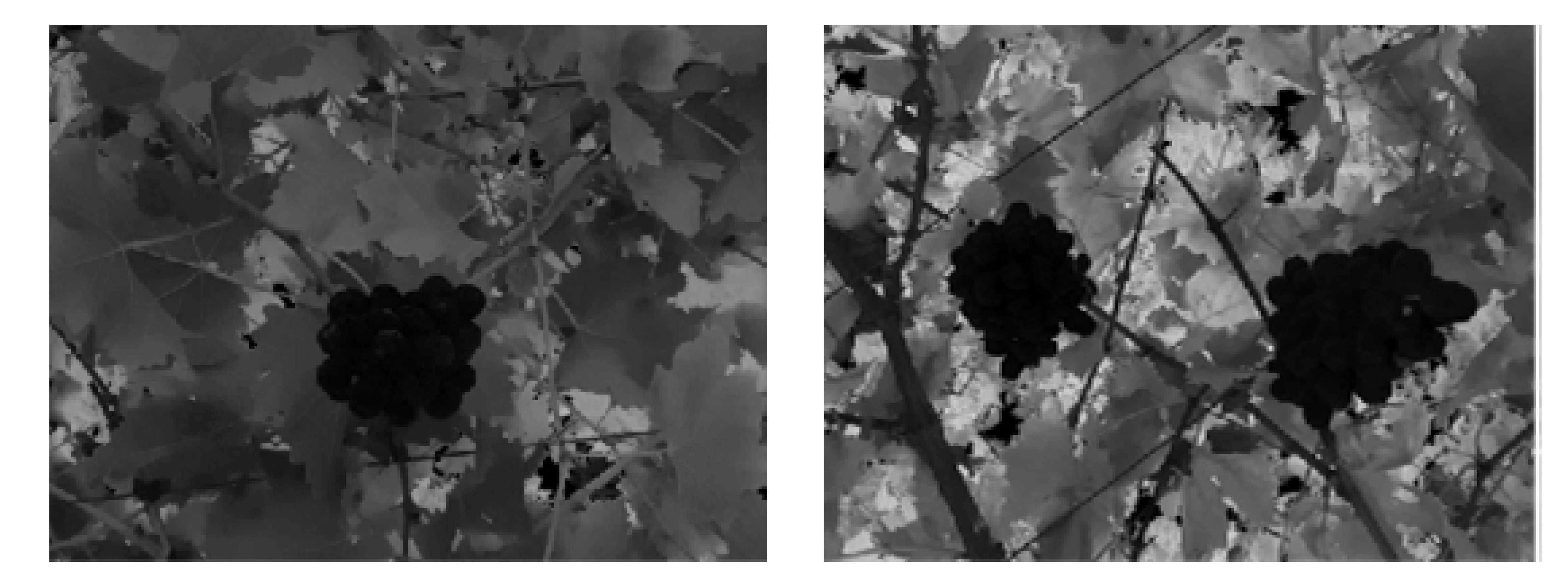 Inventions 07 00027 i002