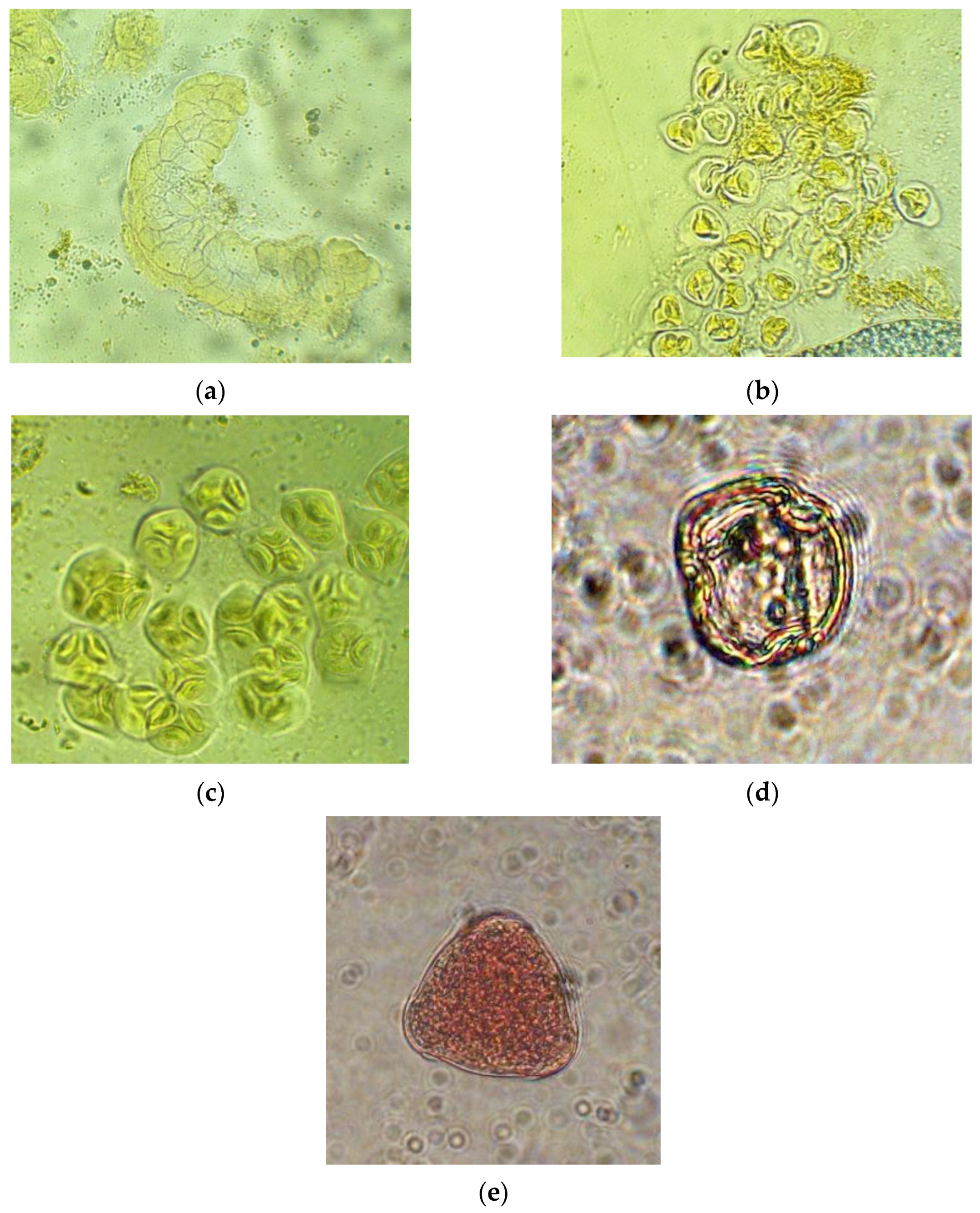 Inventions 08 00065 g002 Inventions 08 00065 g002