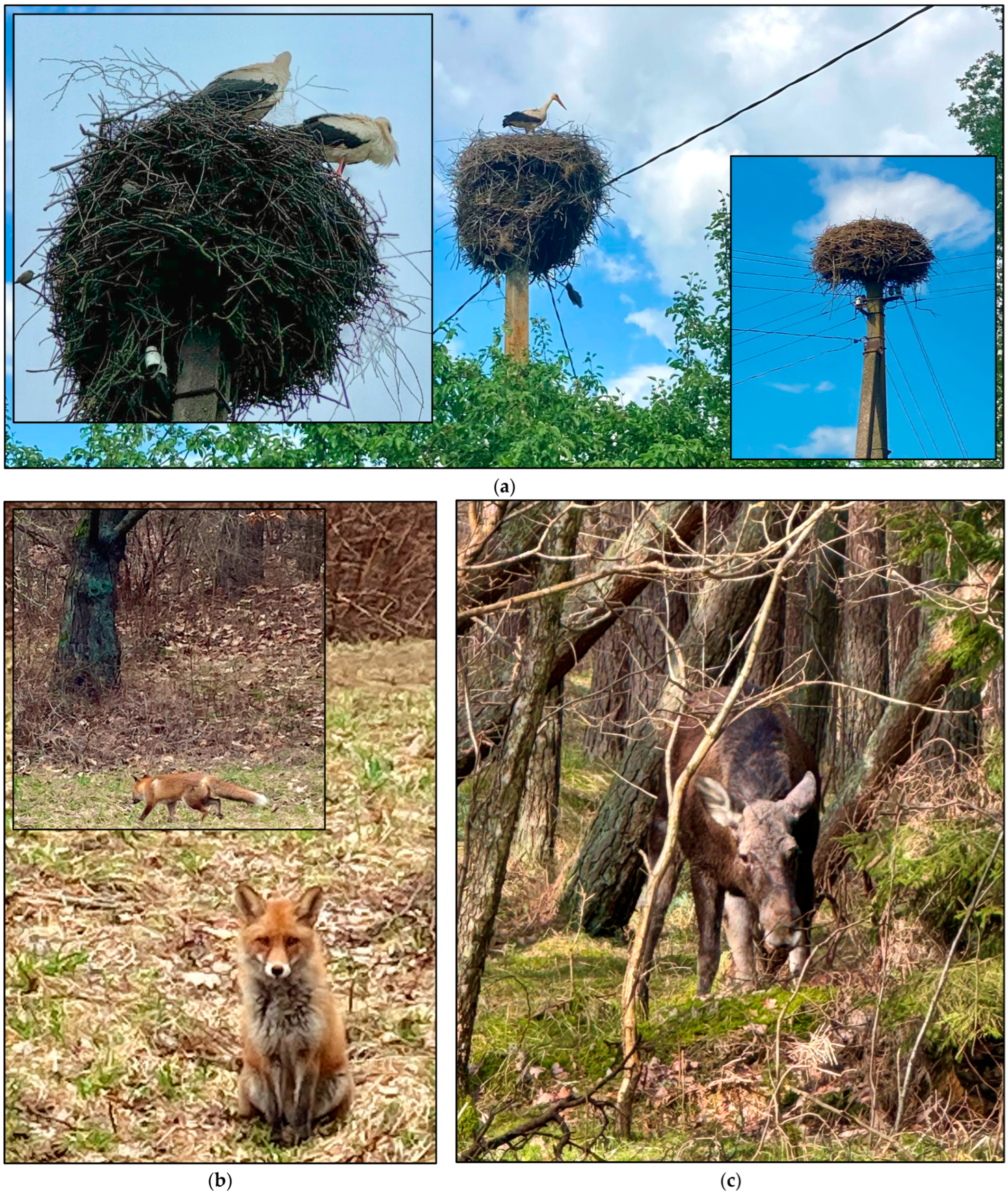 Inventions 10 00030 g005