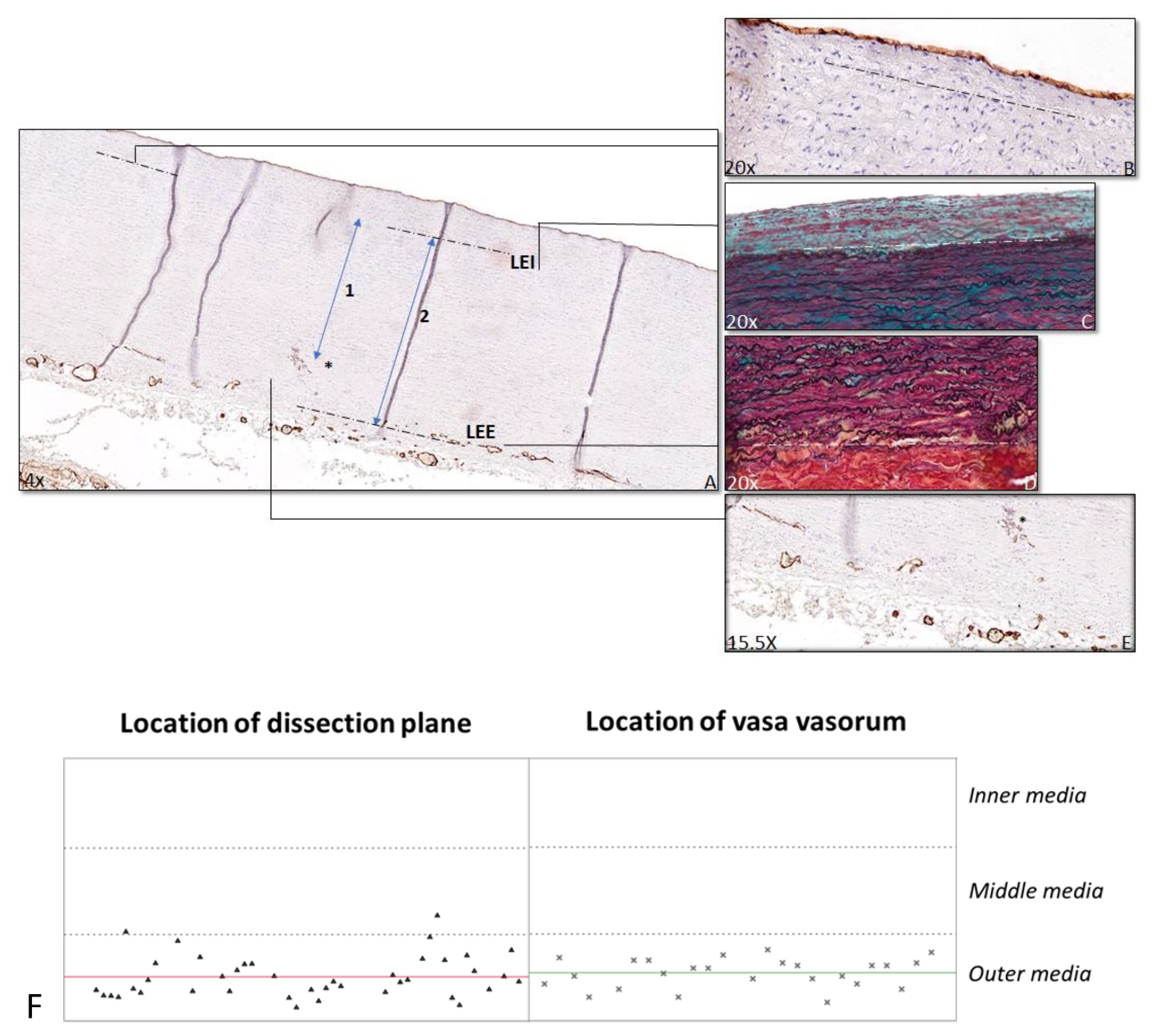 Jcdd 08 00012 g002 Jcdd 08 00012 g002