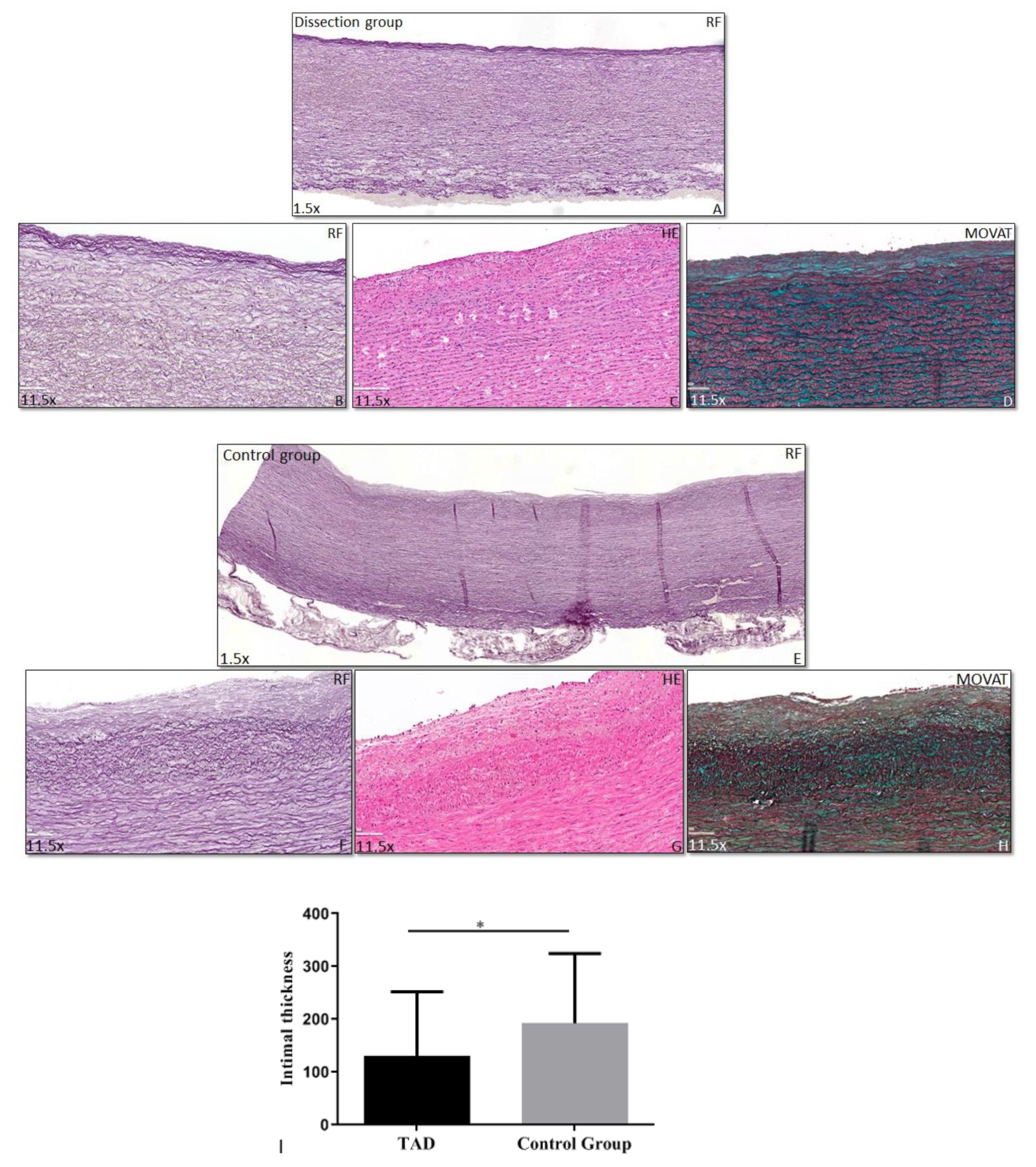 Jcdd 08 00012 g004 Jcdd 08 00012 g004