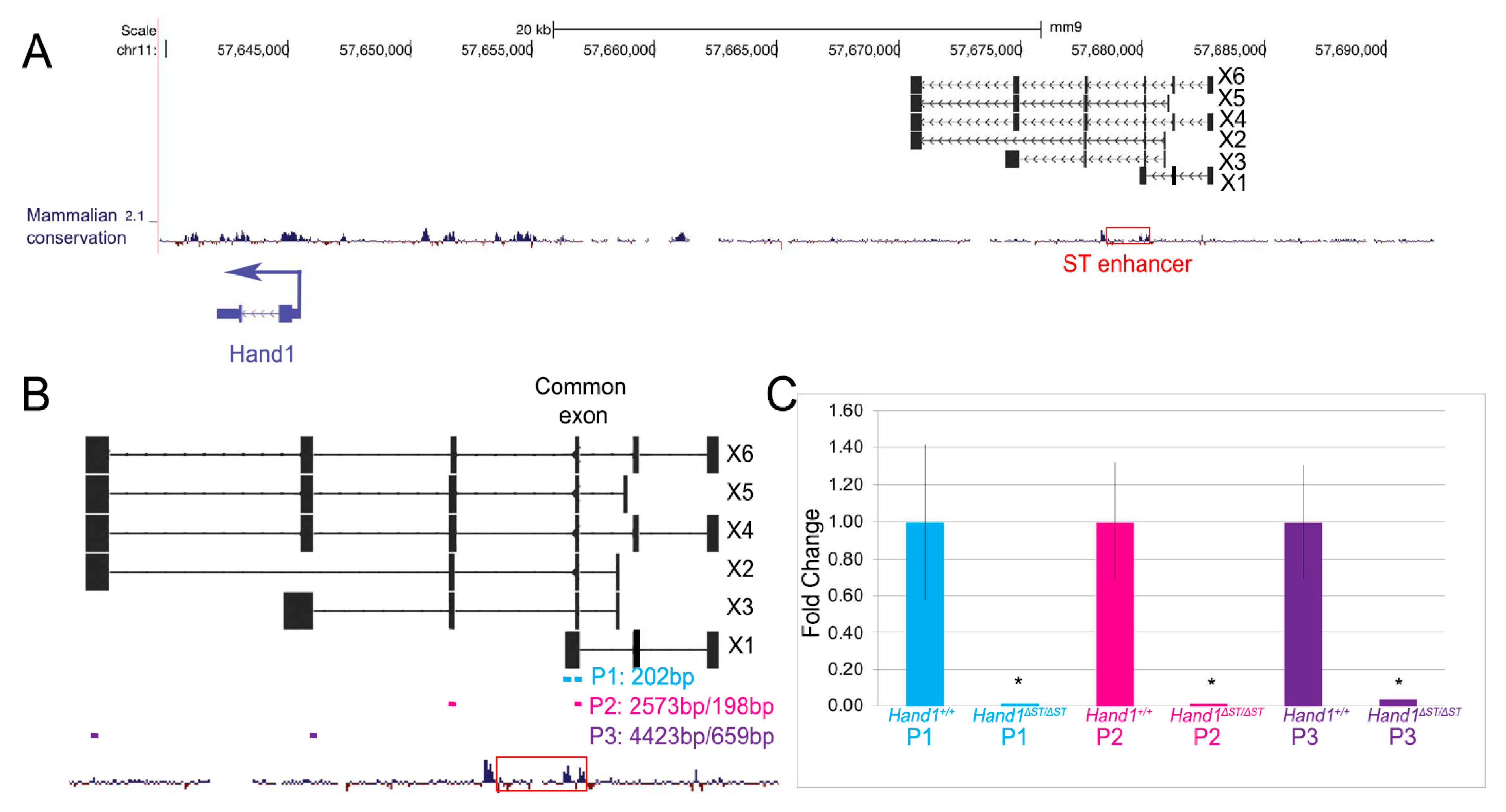 Jcdd 08 00050 g006 Jcdd 08 00050 g006