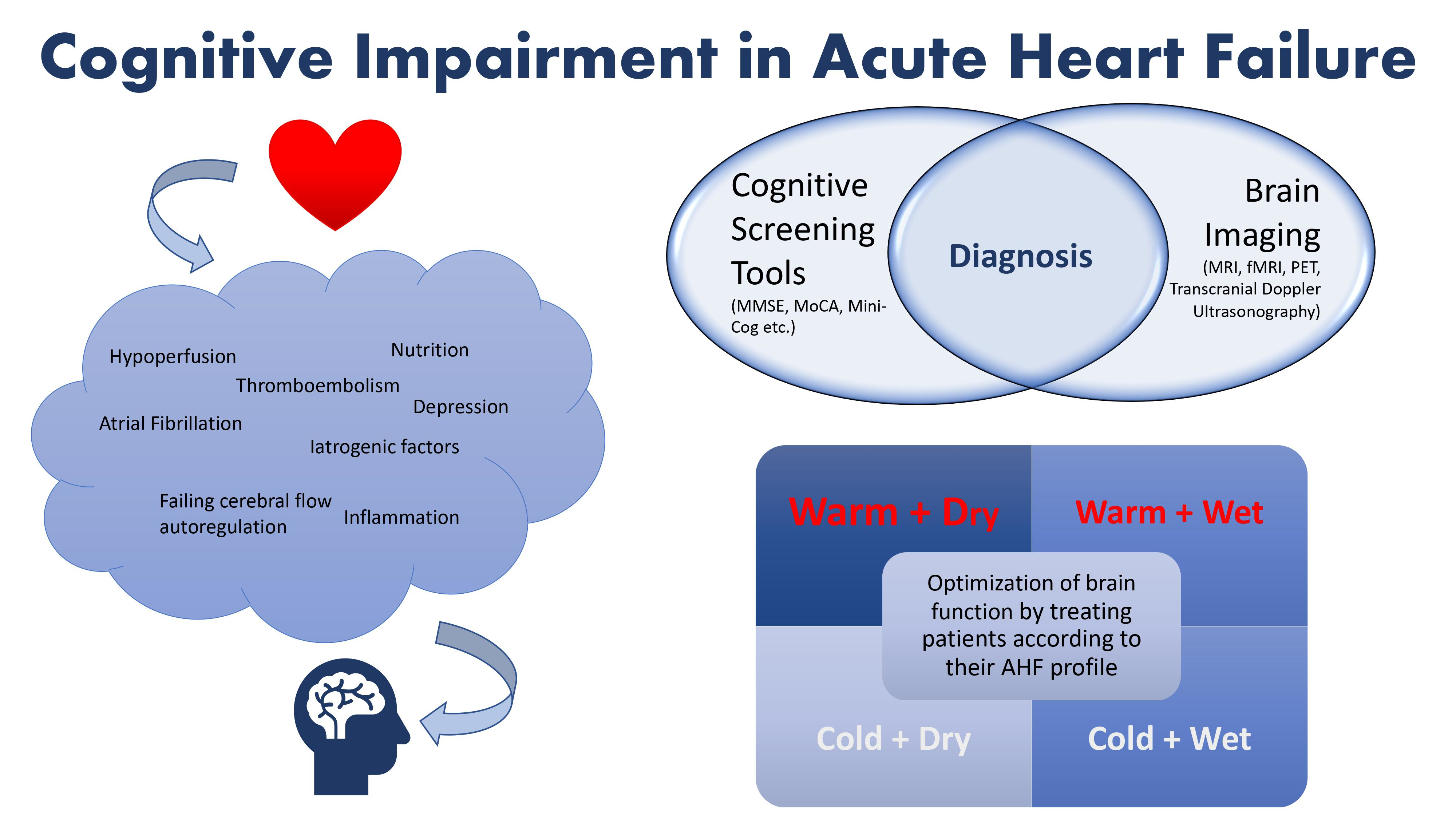 JCDD | Free Full-Text | Cognitive Impairment in Acute Heart Failure:  Narrative Review | HTML