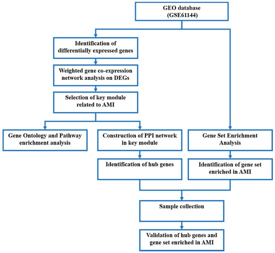 JCDD | Free Full-Text | The Identification and Validation of Hub