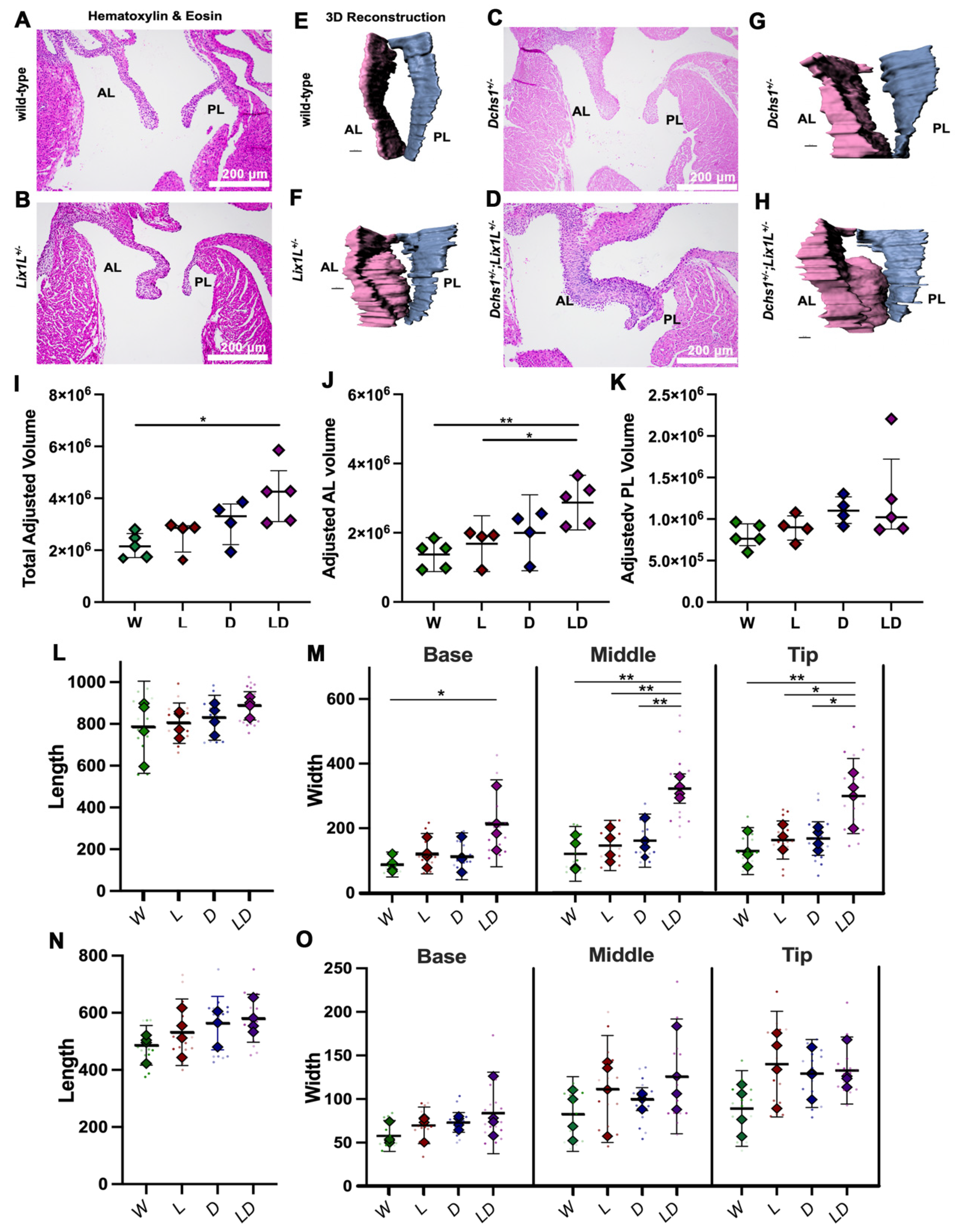 Jcdd 09 00062 g003 Jcdd 09 00062 g003