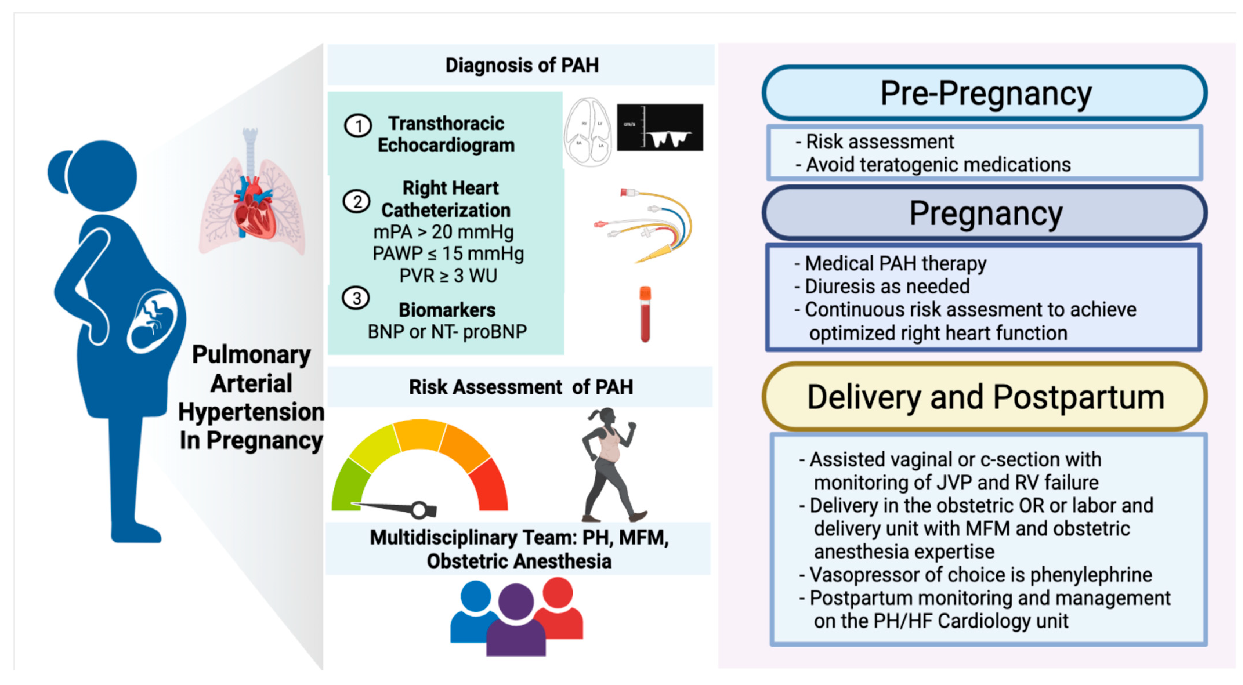 Management of Pulmonary Arterial Hypertension in Pregnancy ...