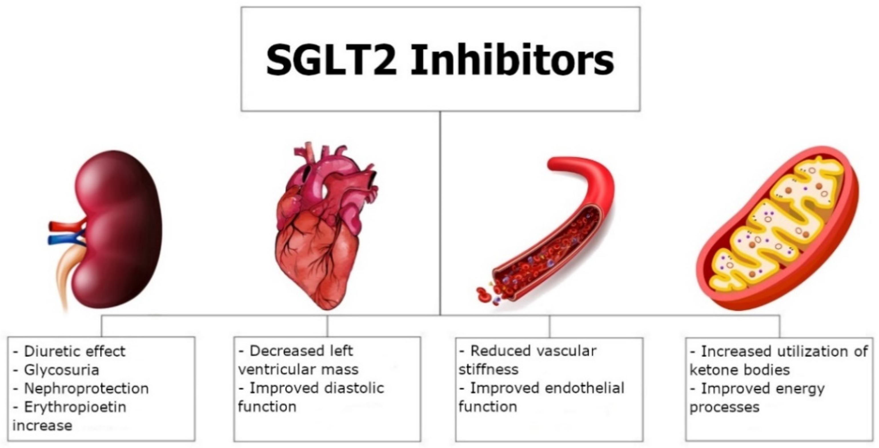 Improvement of left ventricular function assessment by global