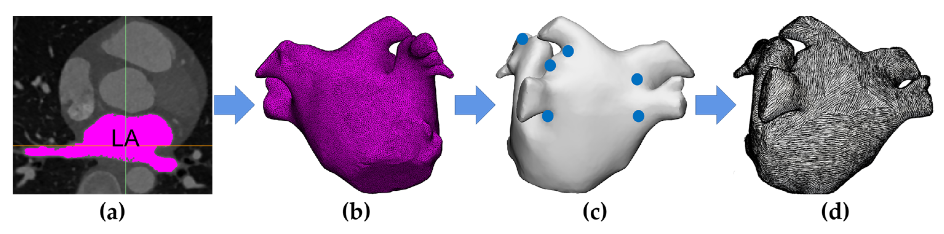 Jcdd 09 00319 g001 Jcdd 09 00319 g001