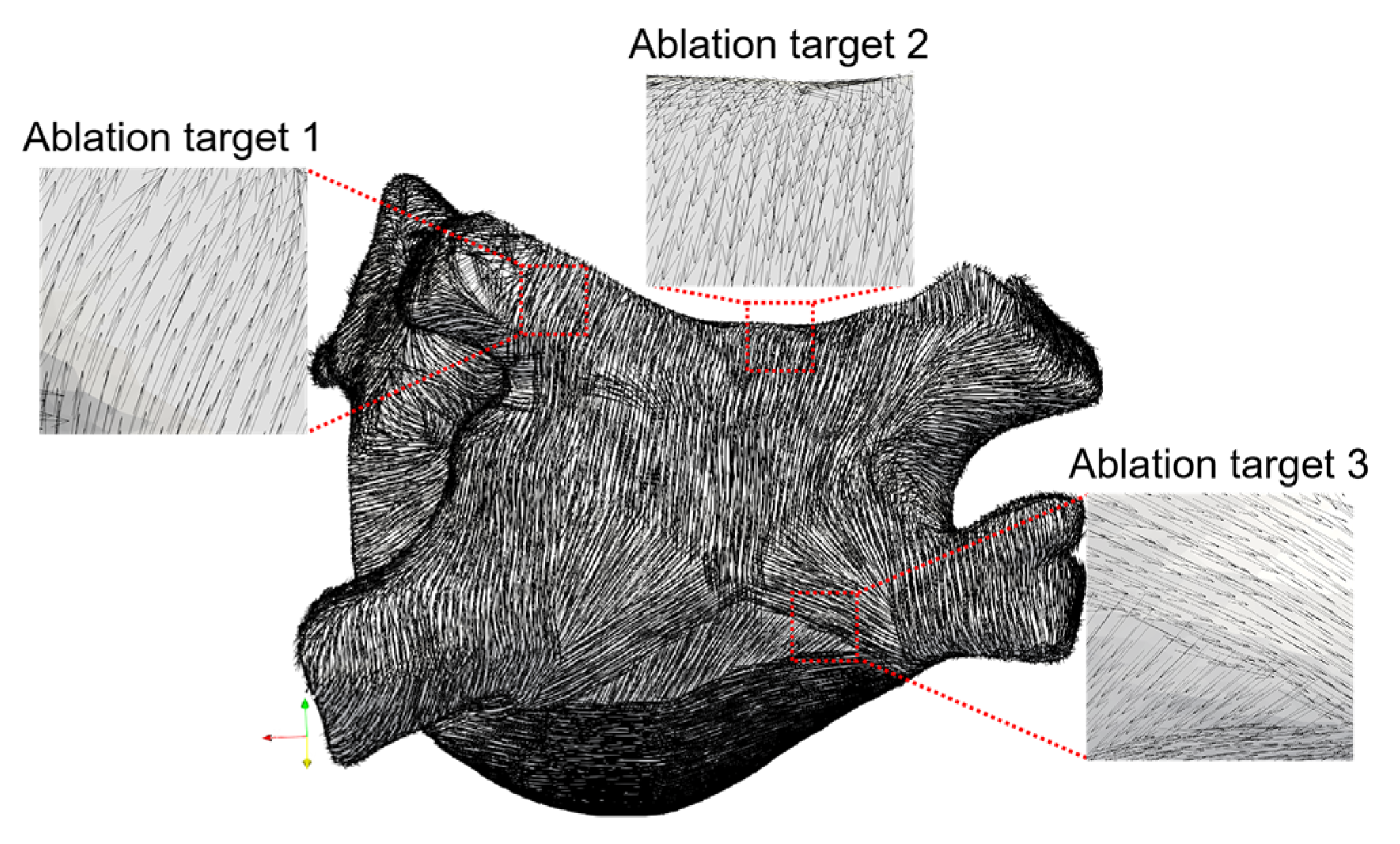 Jcdd 09 00319 g006 Jcdd 09 00319 g006