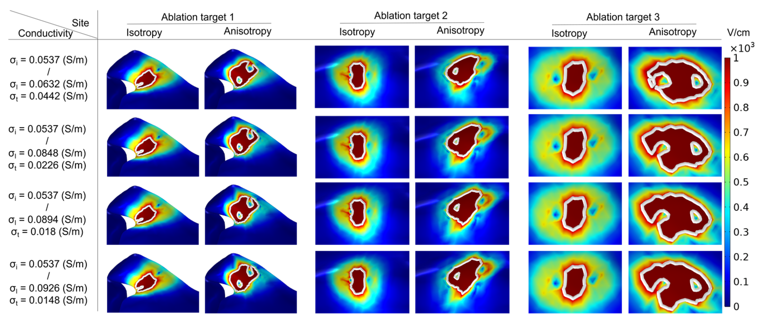 Jcdd 09 00319 g007 Jcdd 09 00319 g007