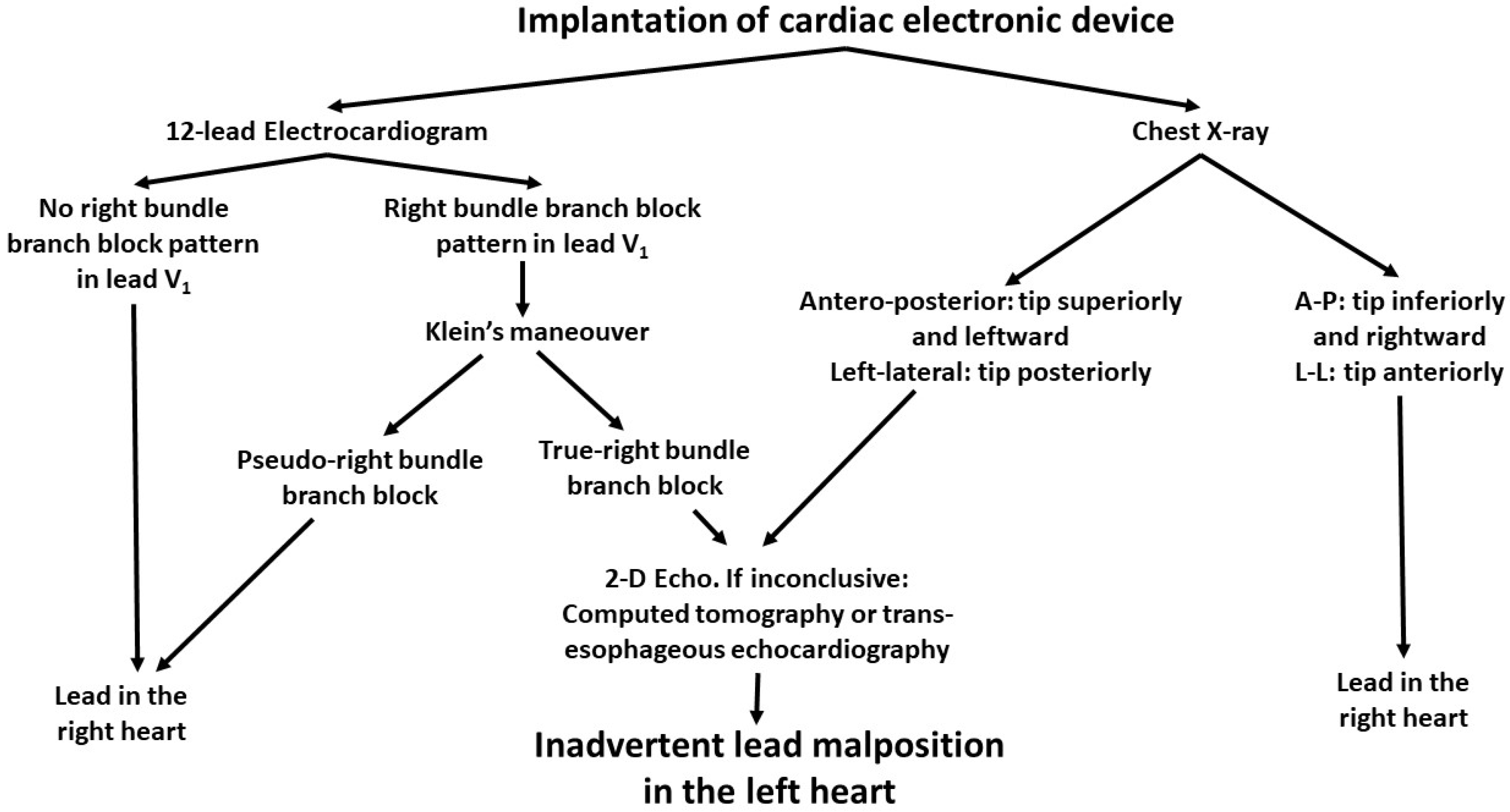 Jcdd 09 00362 g002 Jcdd 09 00362 g002