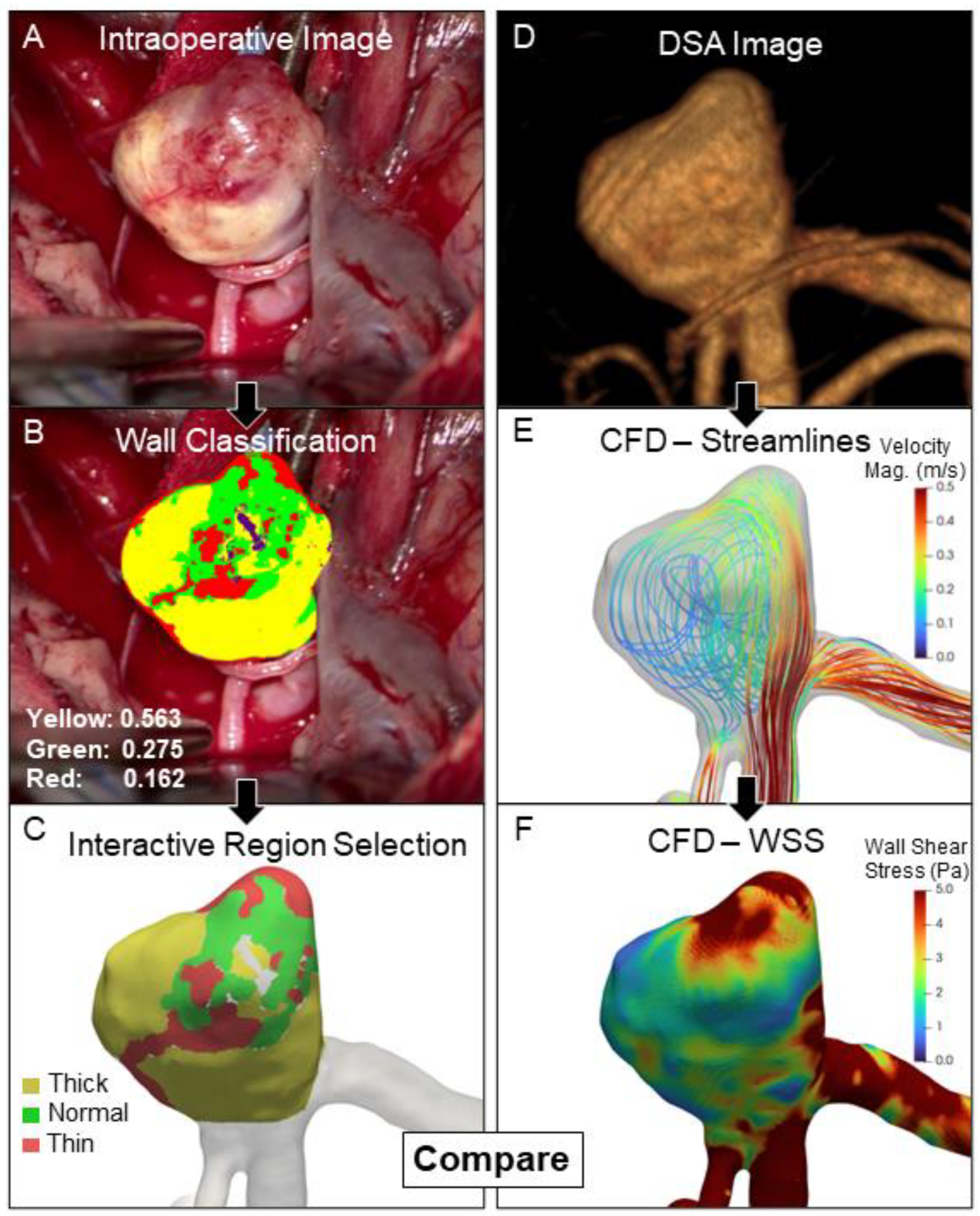 Jcdd 09 00424 g001 Jcdd 09 00424 g001
