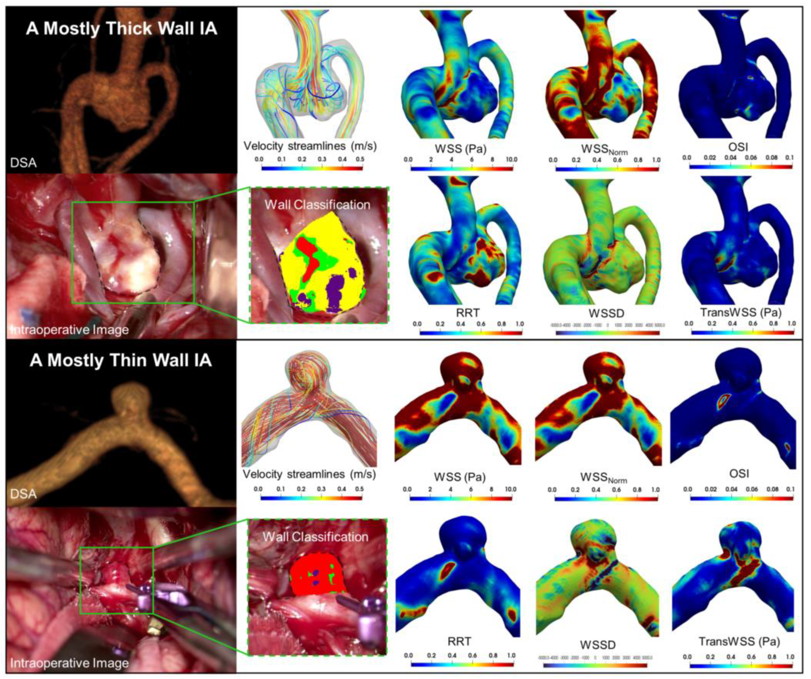 Jcdd 09 00424 g002 Jcdd 09 00424 g002