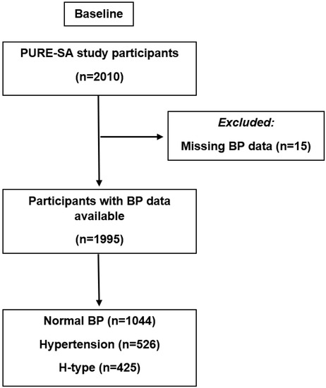 JCDD | Free Full-Text | H-Type Hypertension among Black South Africans and  the Relationship between Homocysteine, Its Genetic Determinants and  Estimates of Vascular Function