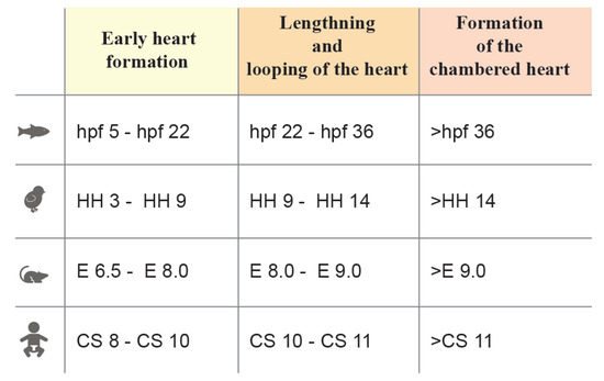 PDF] A Deep-Learning Approach For Direct Whole-Heart Mesh