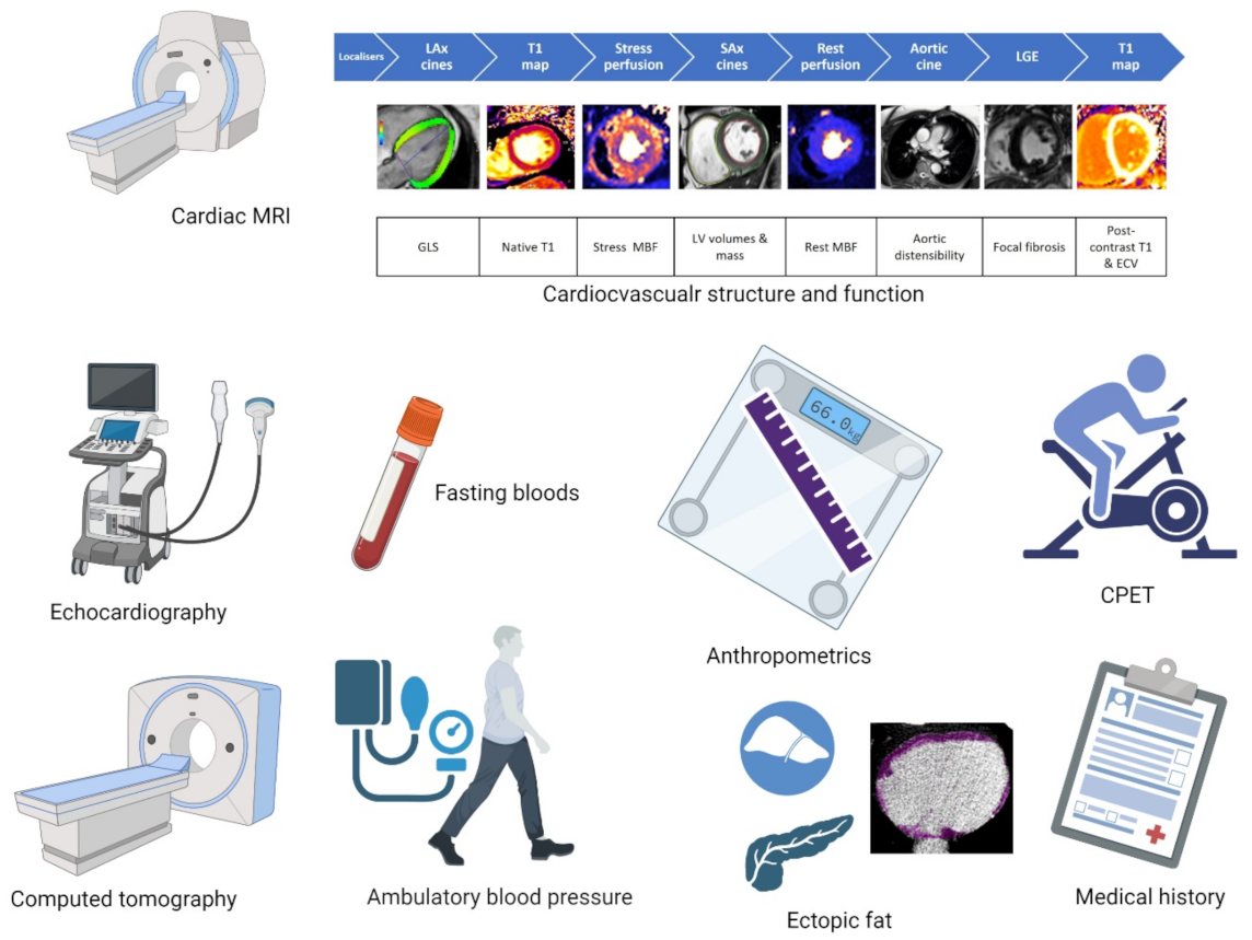 Jcdd 10 00191 g001 Jcdd 10 00191 g001