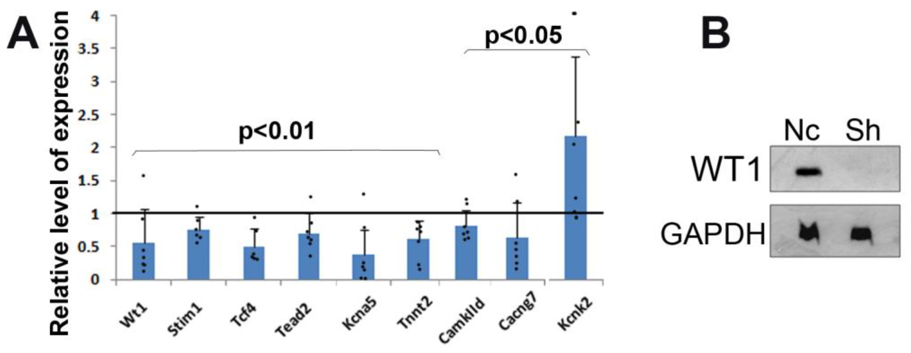 Jcdd 10 00211 g001 Jcdd 10 00211 g001