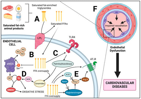 JCDD | Free Full-Text | The Impacts of Animal-Based Diets in 