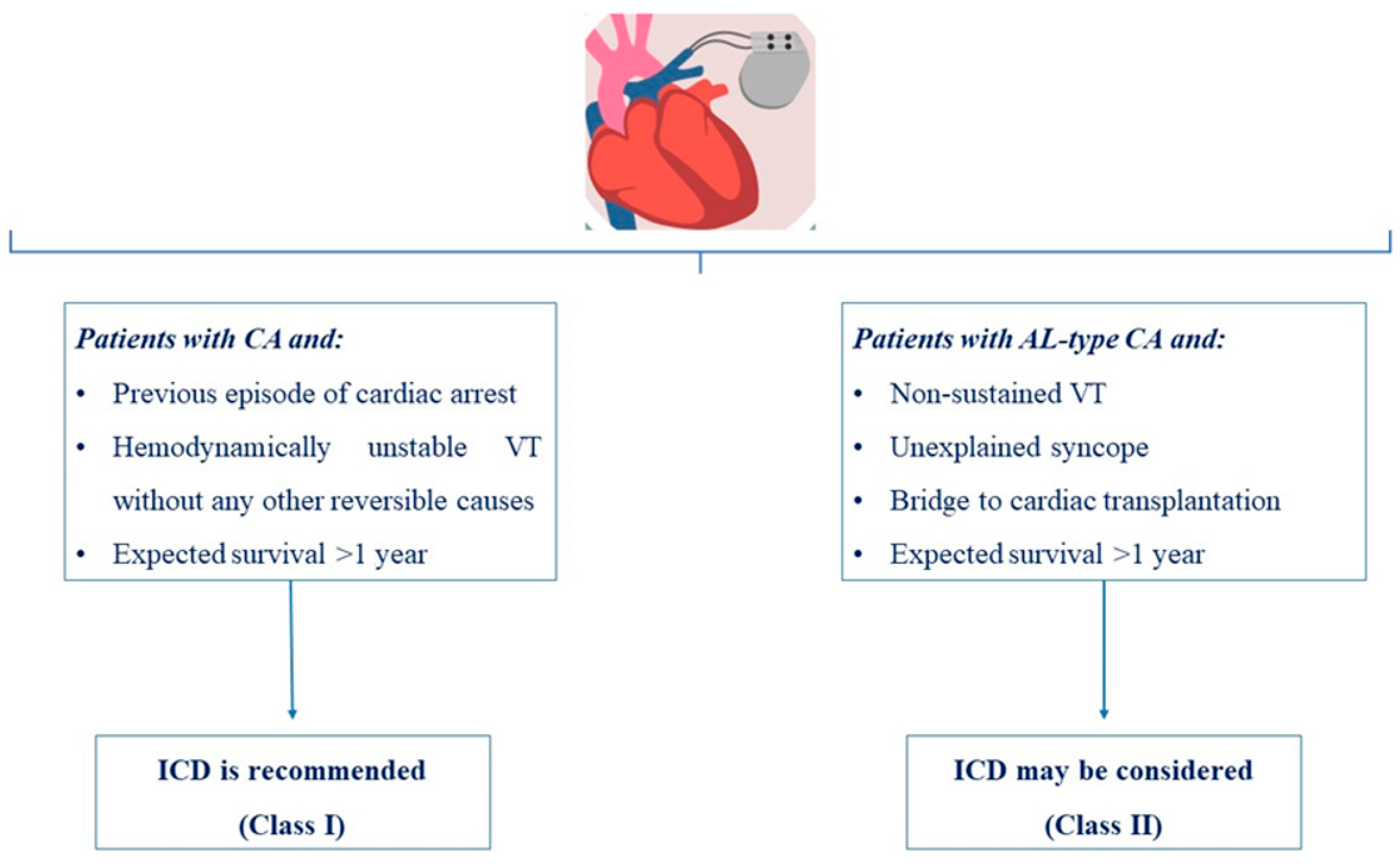 Jcdd 10 00337 g002 Jcdd 10 00337 g002