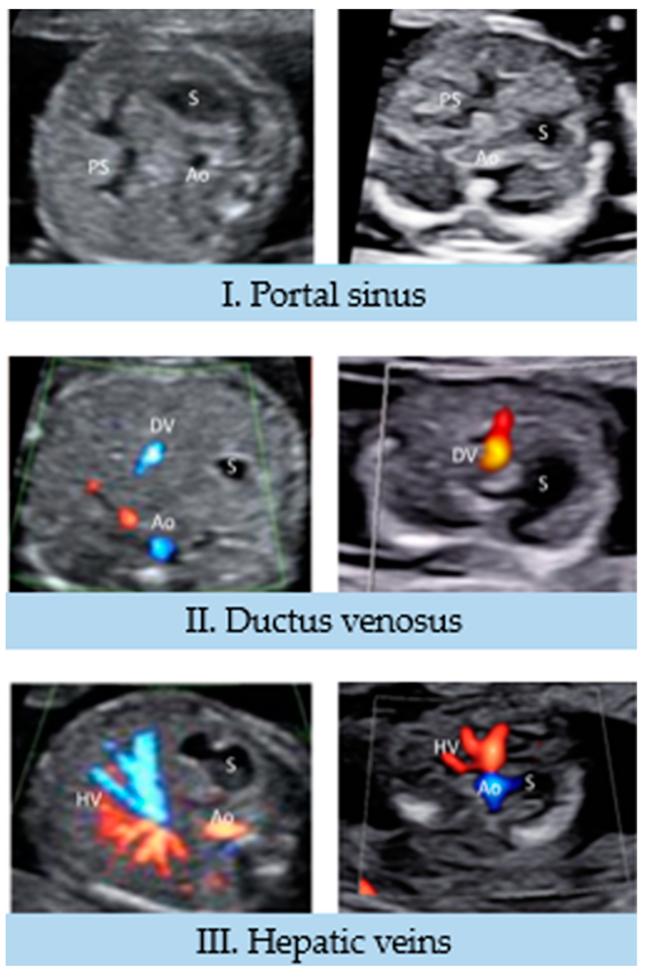 Jcdd 10 00340 g002 Jcdd 10 00340 g002