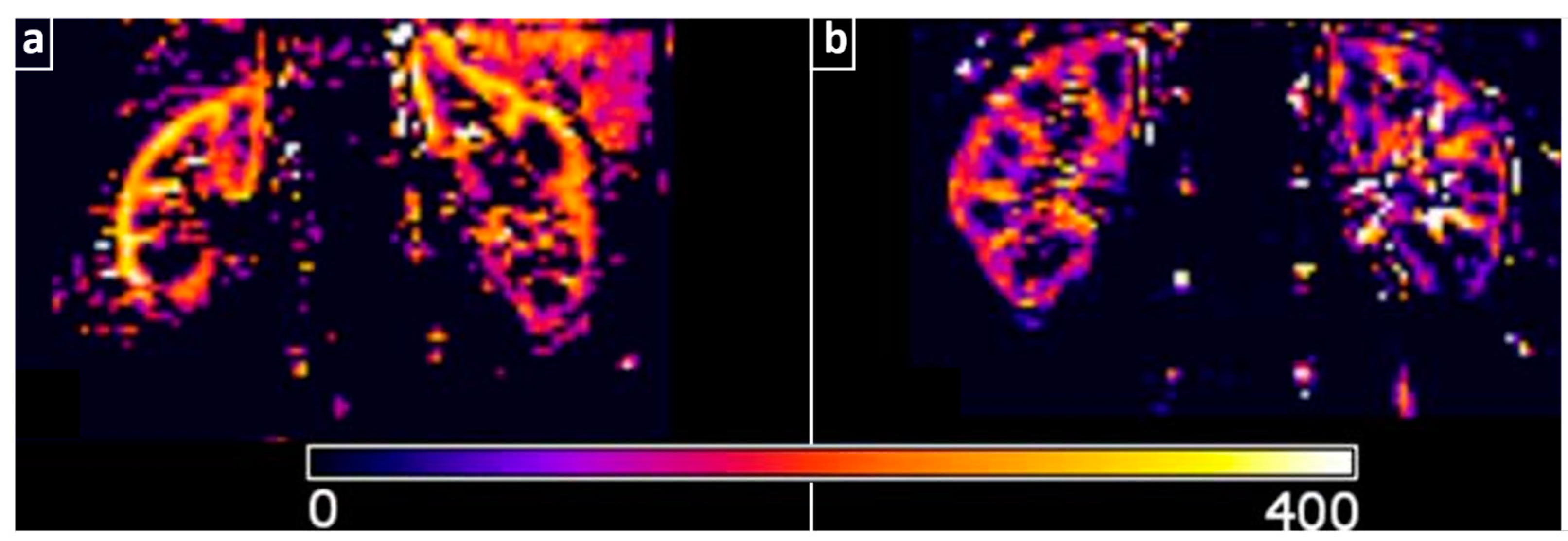 Jcdd 10 00383 g001 Jcdd 10 00383 g001
