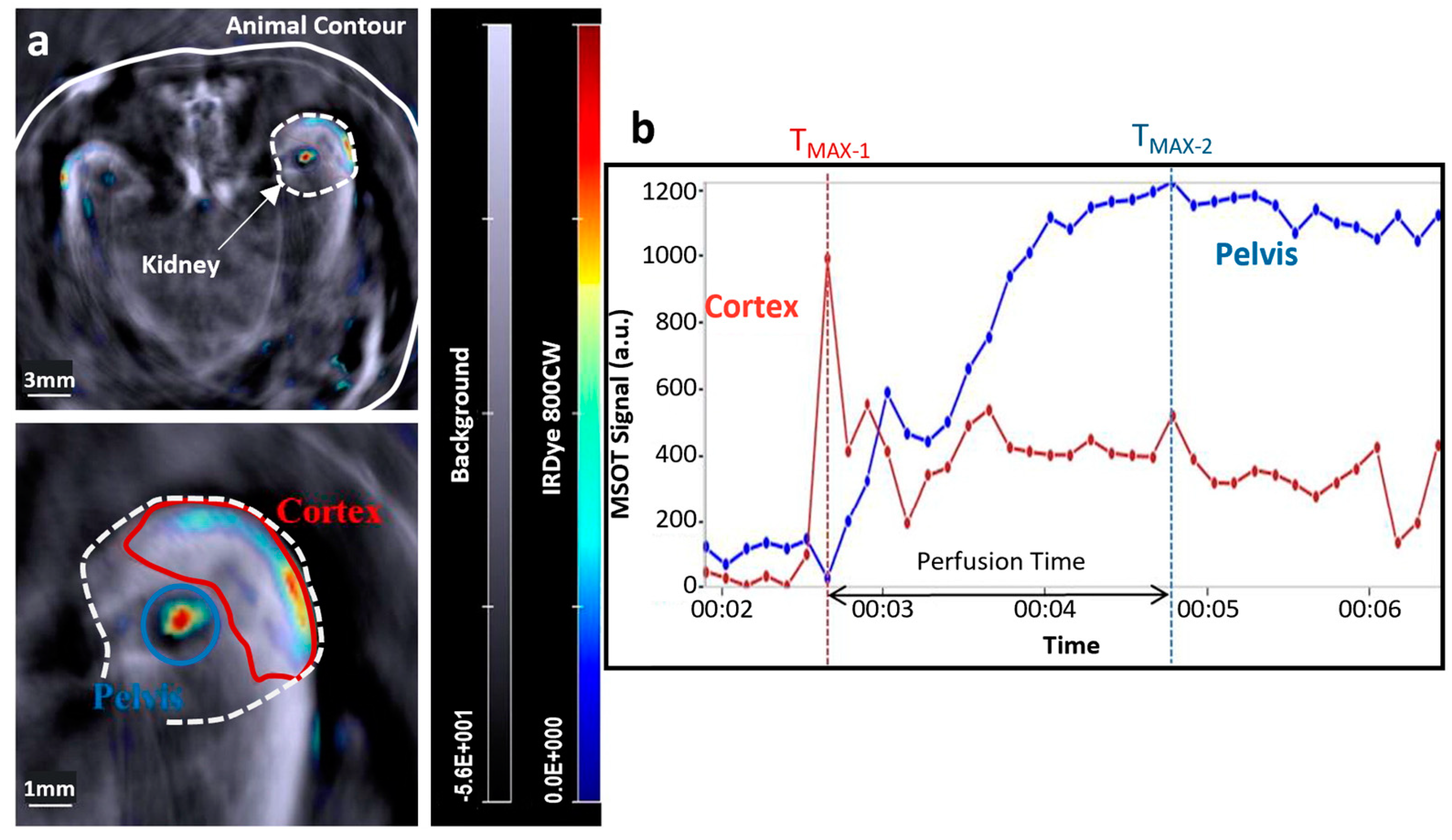 Jcdd 10 00383 g002 Jcdd 10 00383 g002