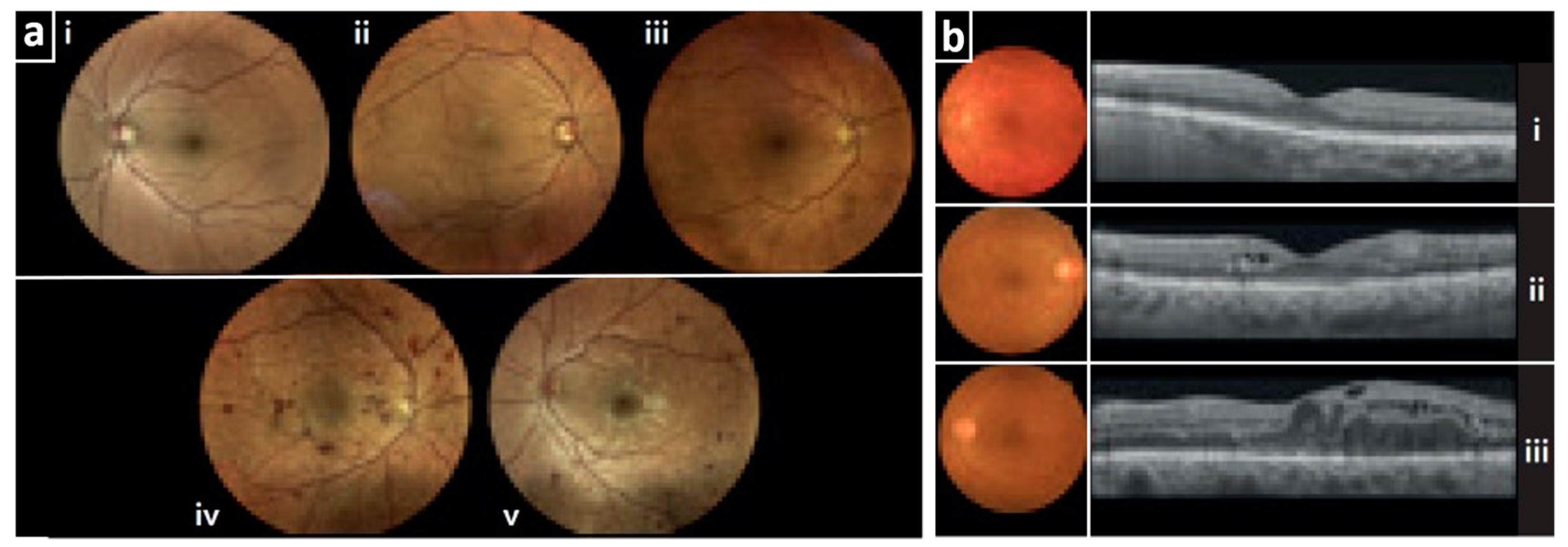 Jcdd 10 00383 g003 Jcdd 10 00383 g003