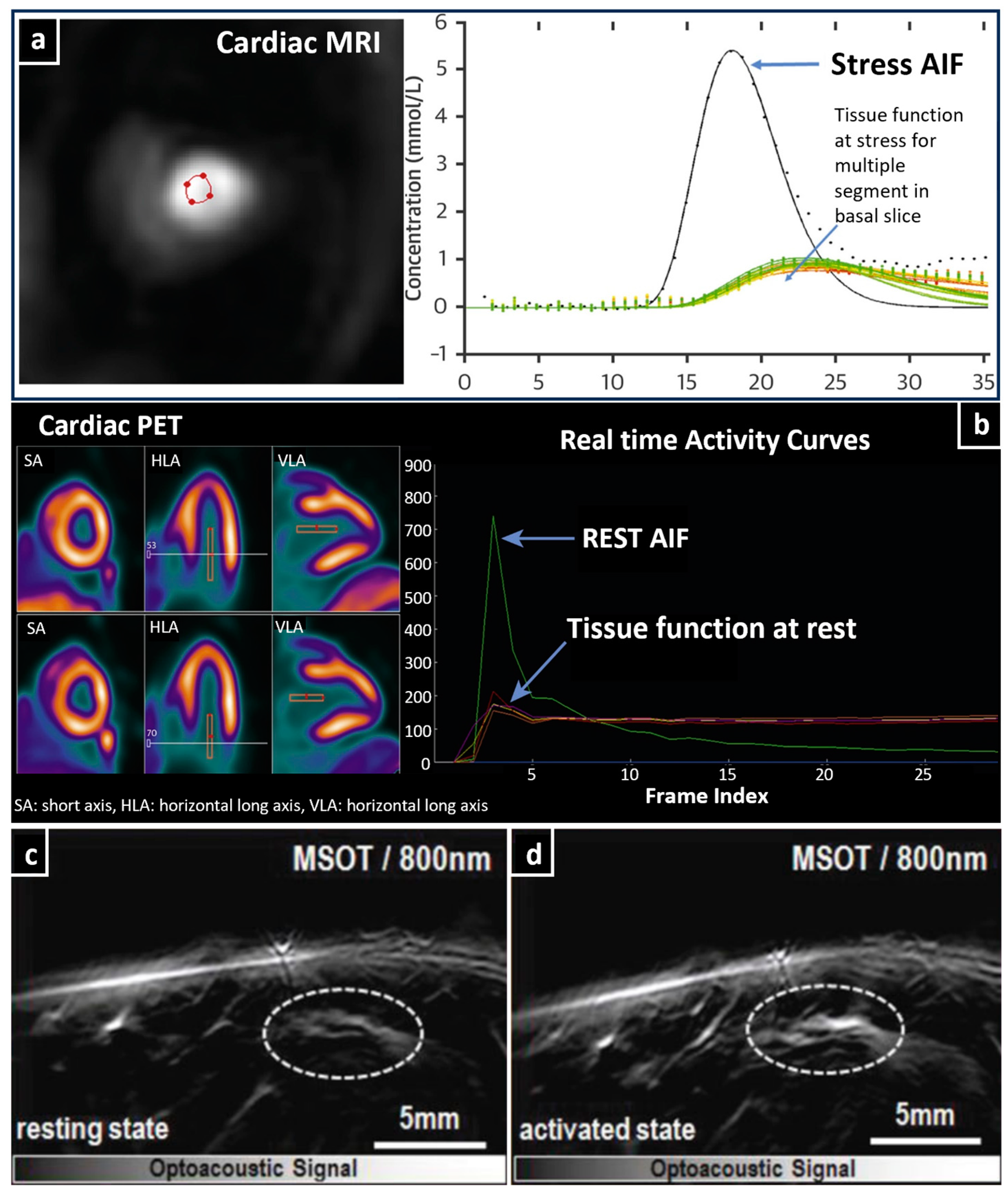 Jcdd 10 00383 g006 Jcdd 10 00383 g006