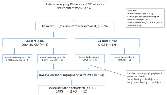 Contrast Media with and without Calcium for Cardioangiography in