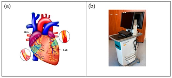 JCDD Free Full Text Deep Learning Paradigm and Its Bias for