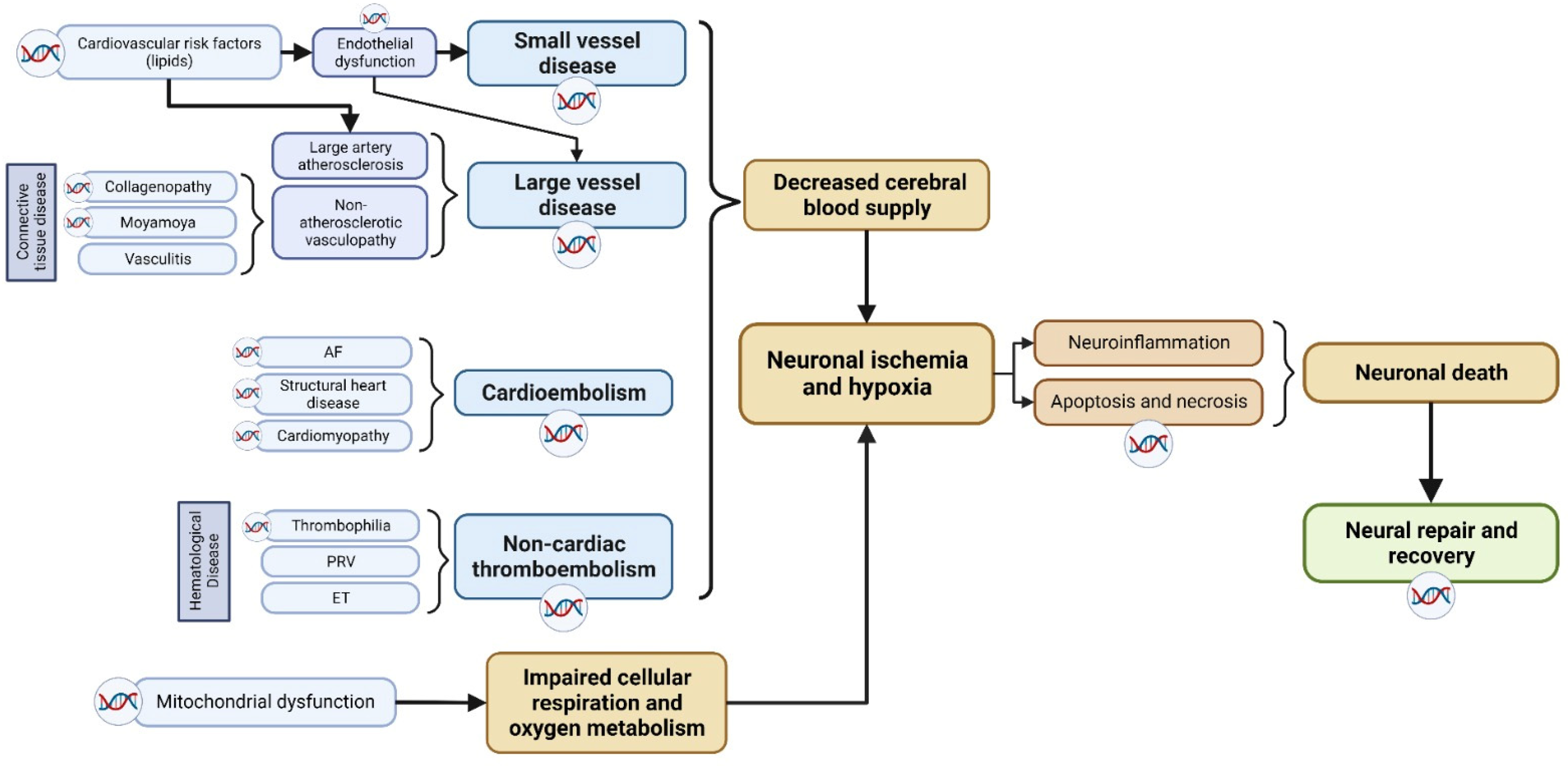 Jcdd 10 00495 g001 Jcdd 10 00495 g001