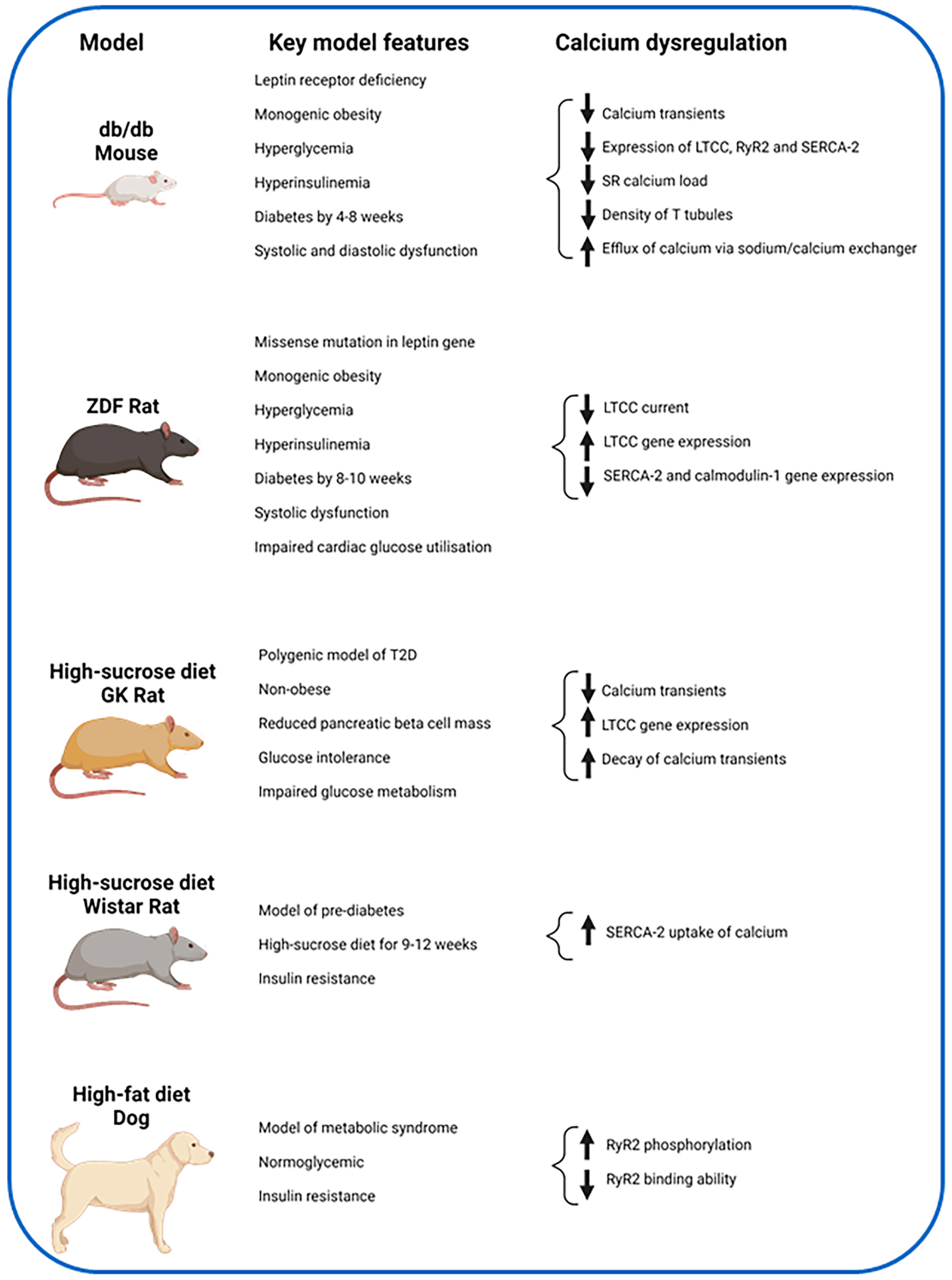 Jcdd 11 00012 g003 Jcdd 11 00012 g003
