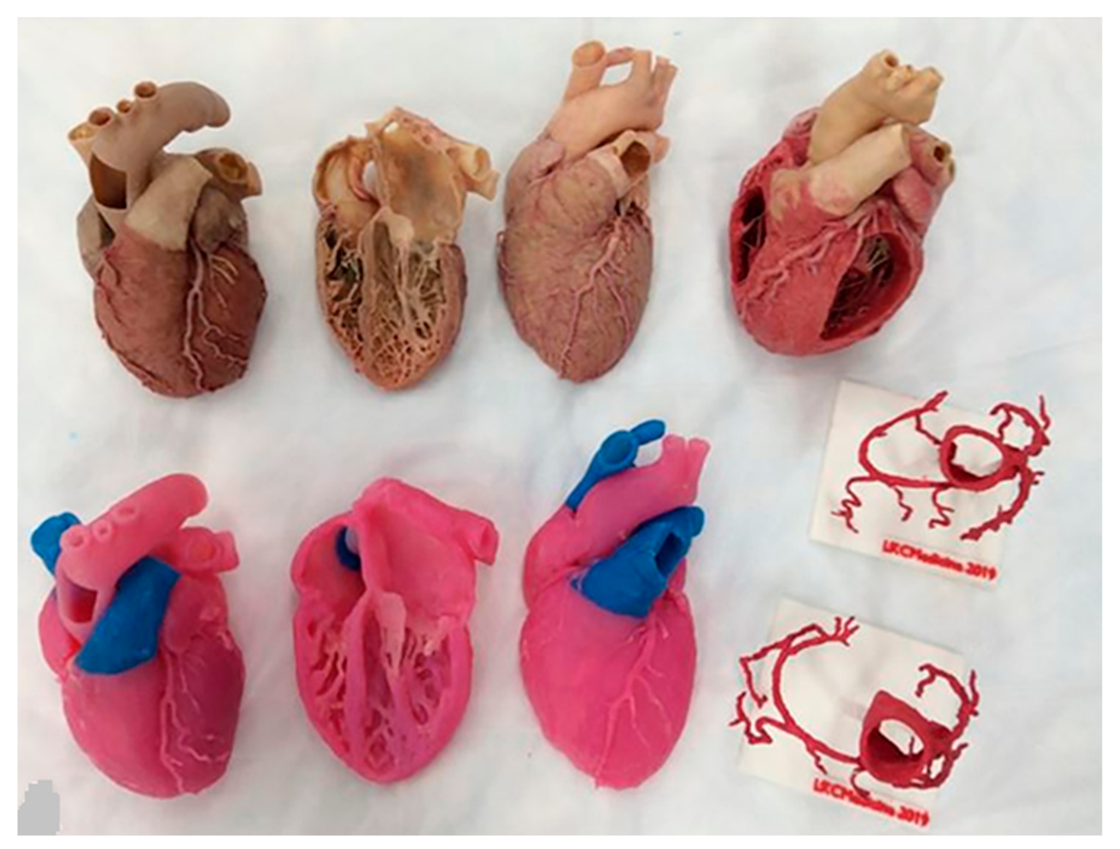 Jcdd 11 00022 g005 Jcdd 11 00022 g005