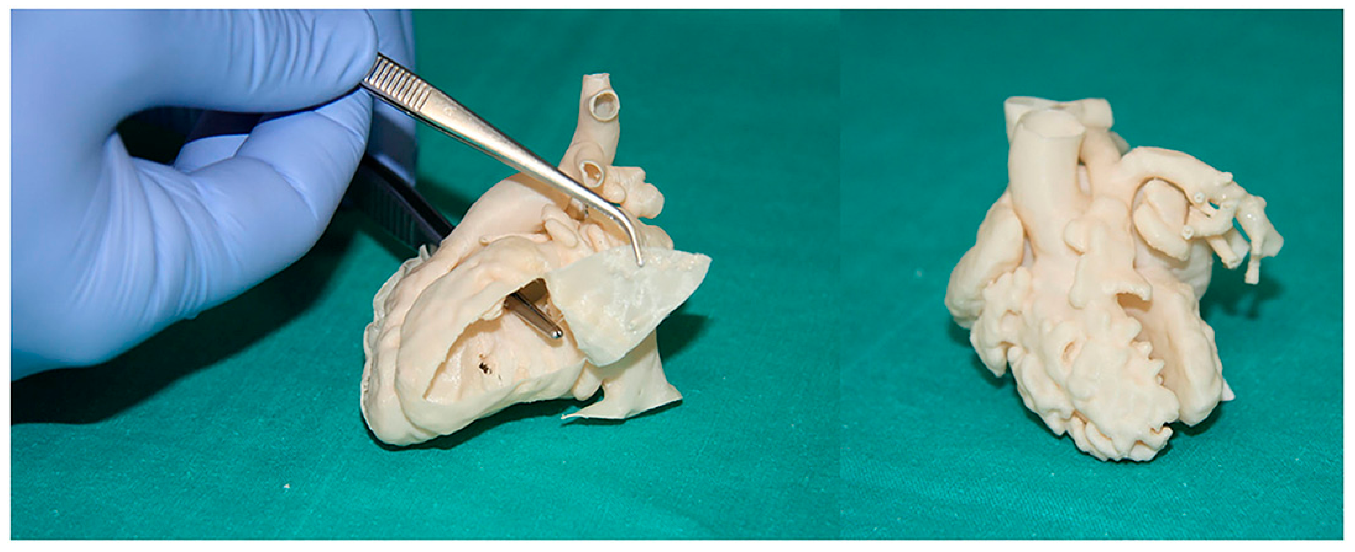 Jcdd 11 00022 g008 Jcdd 11 00022 g008