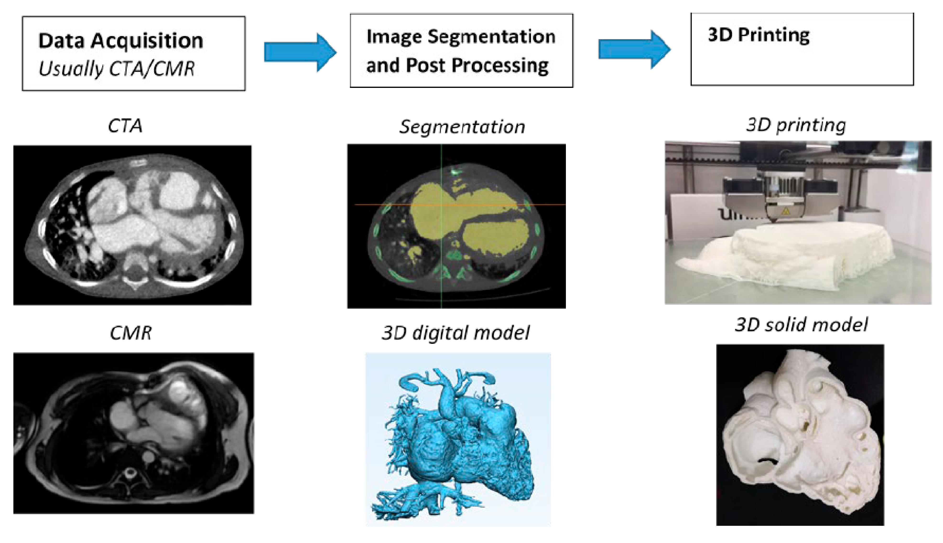 Jcdd 11 00022 g021 Jcdd 11 00022 g021