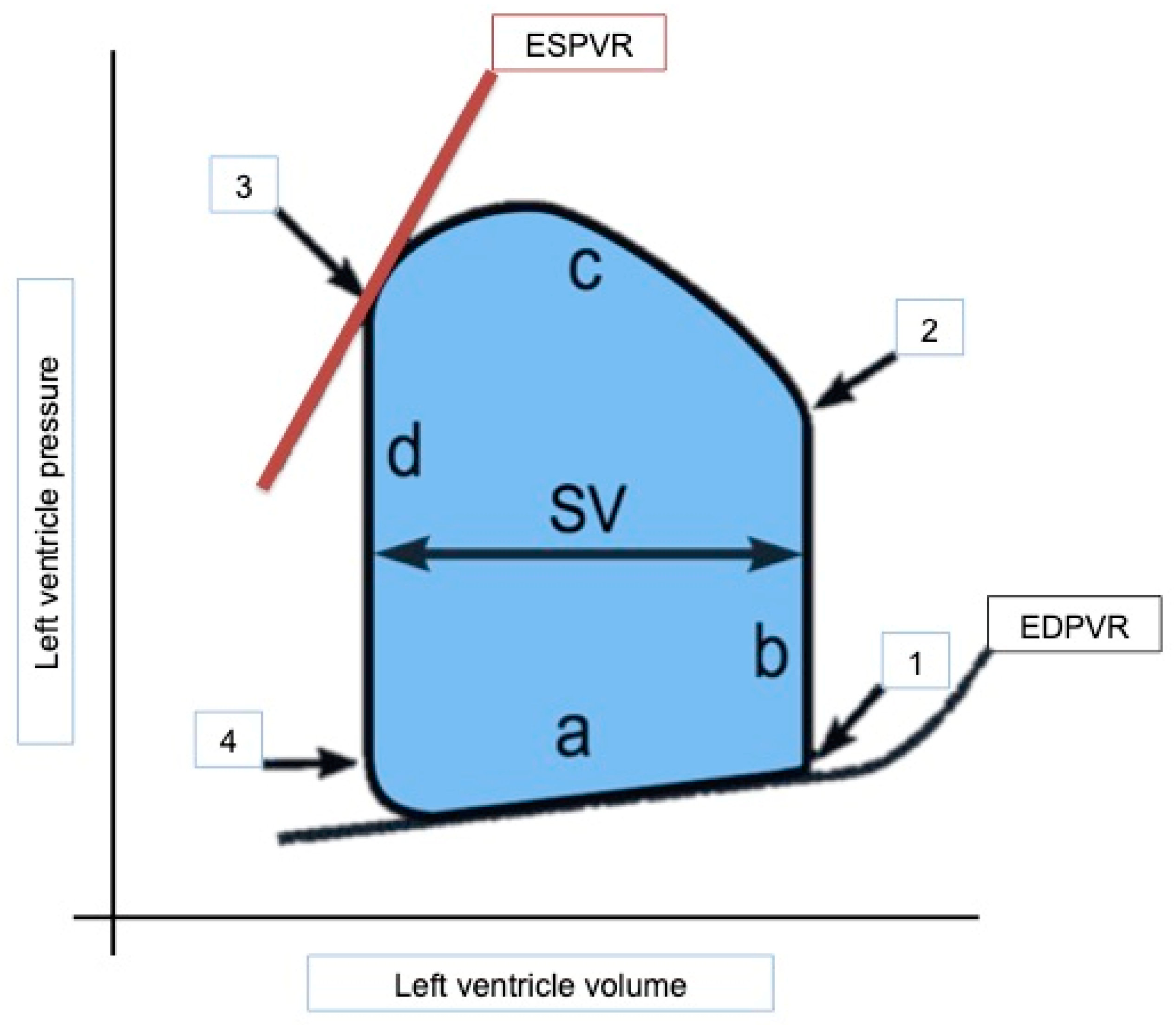 Jcdd 11 00141 g002 Jcdd 11 00141 g002